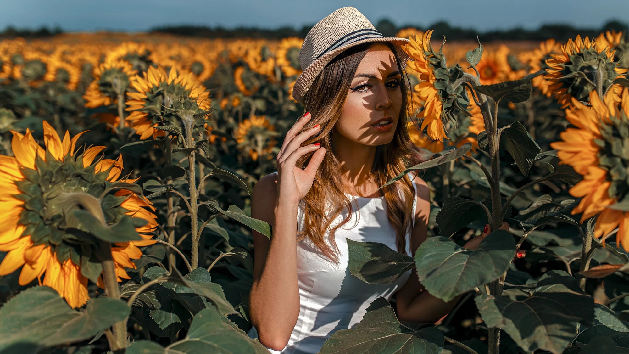https://www.zastavki.com/pictures/originals/2017Girls___Beautyful_Girls_Beautiful_girl_in_a_hat_stands_on_a_field_with_sunflowers_116972_.jpg