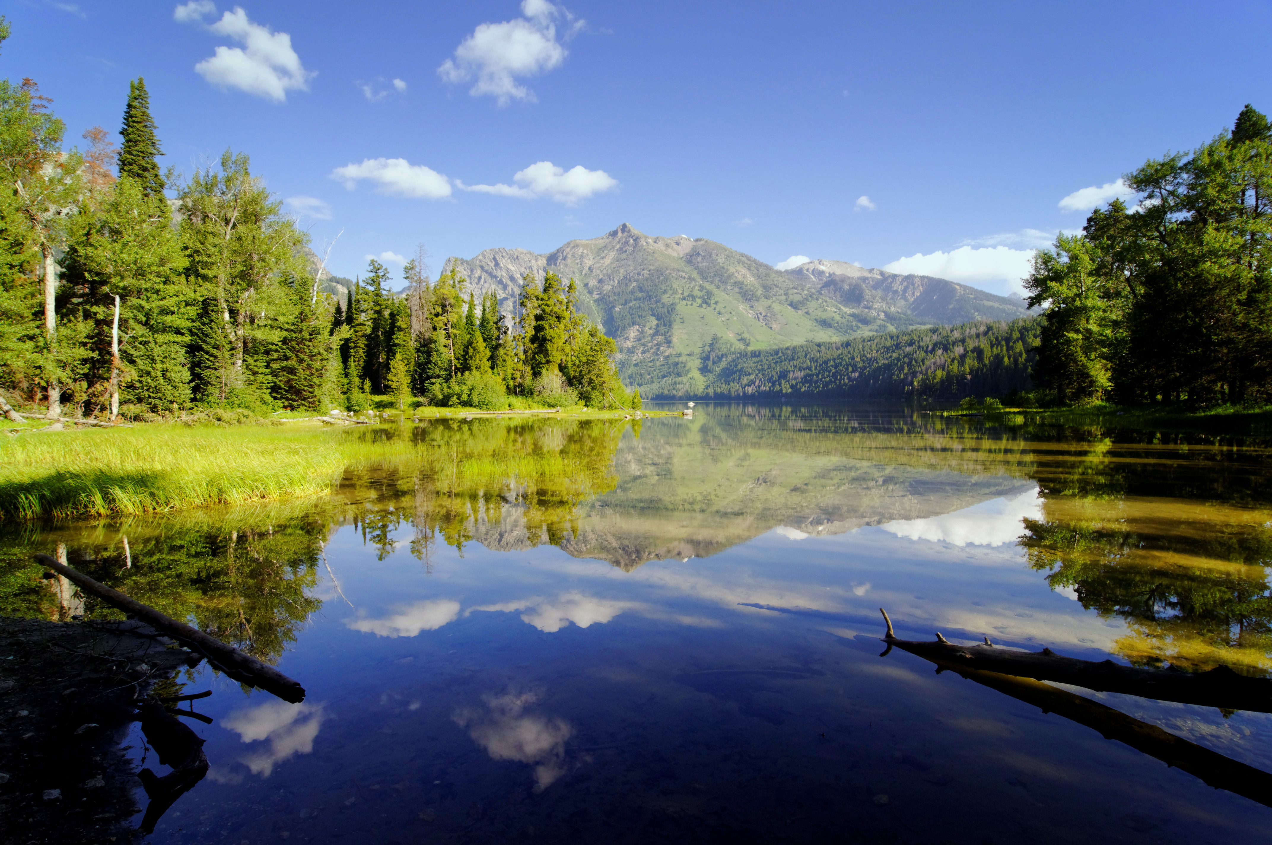 Many rivers and lakes are. Шварцвальд озеро. Лесное (озеро, Северная Америка). Южный Шварцвальд озеро. Телецкое озеро.