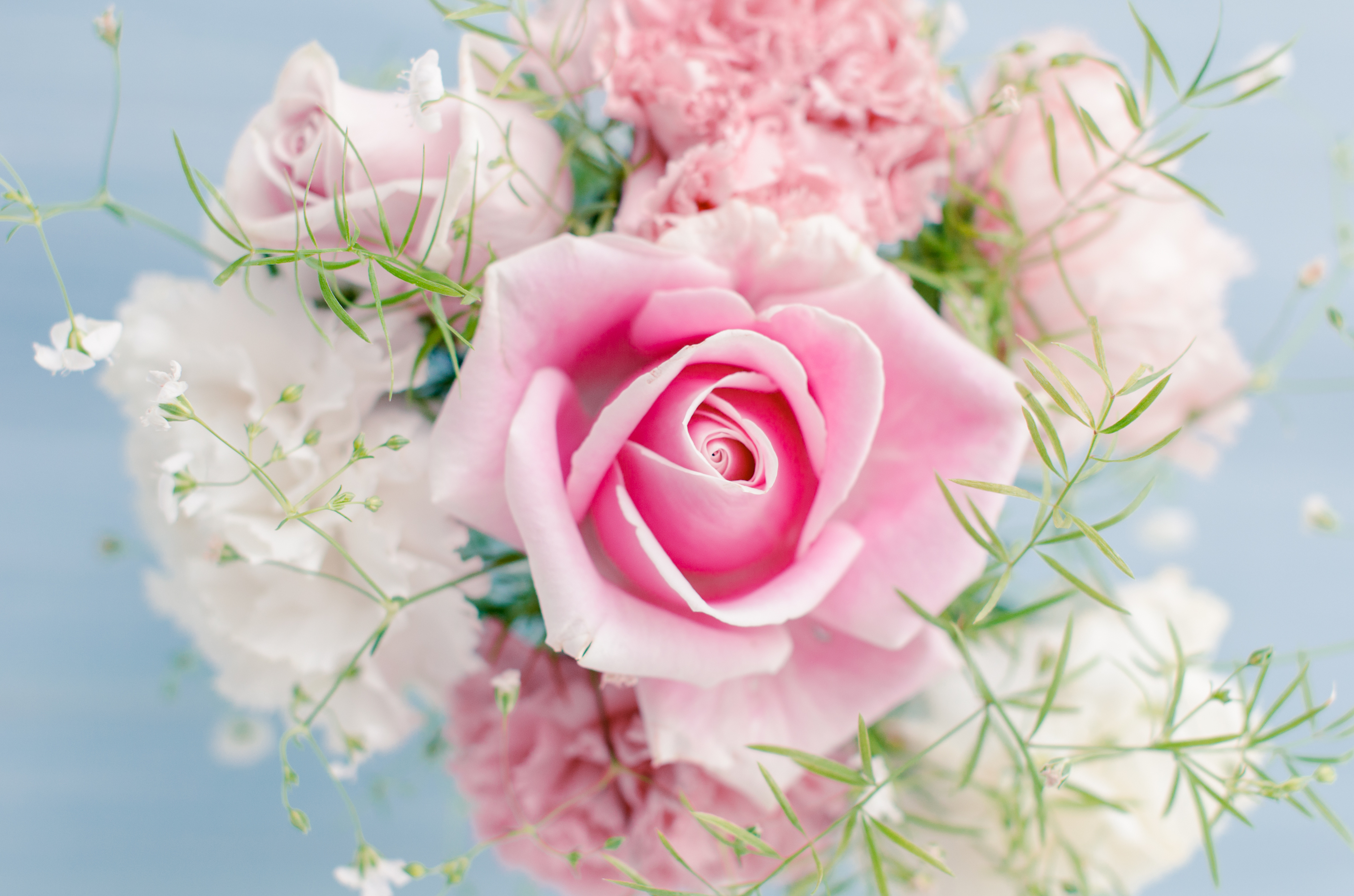 Красивые картинки с цветами для телефона. Нежный цветок. Нежные розы. Красивый нежный букет. Нежные розовые розы.