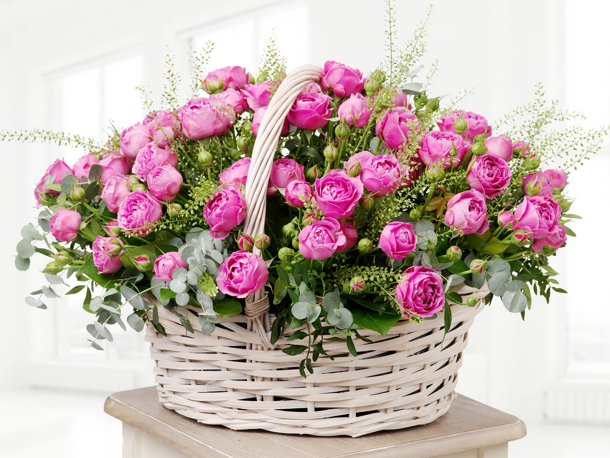  корзина розовых роз на белом фоне - обои для рабочего стола .