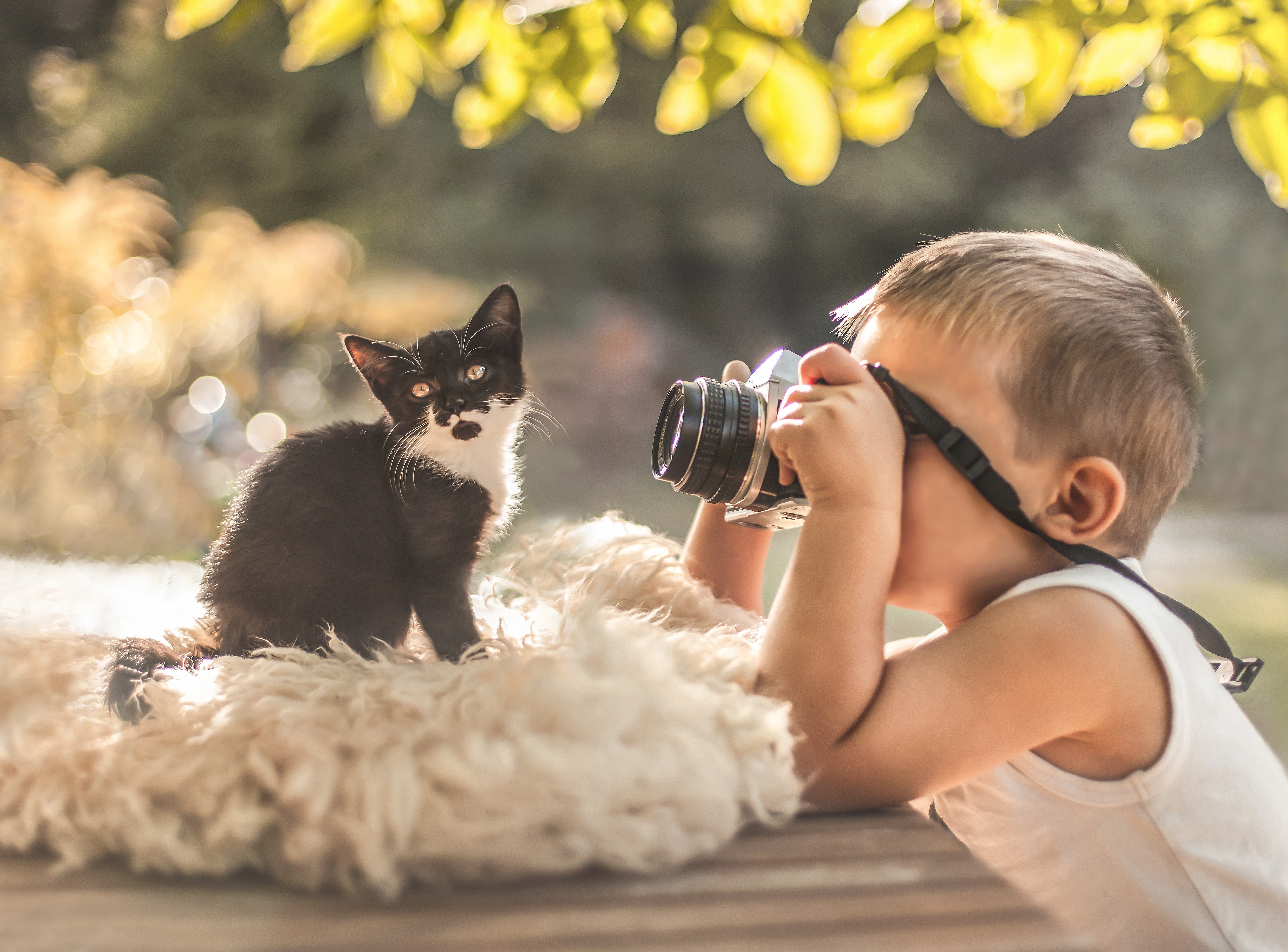 Позитивные картинки. Фотоаппарат для детей. Ребенок фотографирует. Животные с фотоаппаратом. Позитив дети и животные.