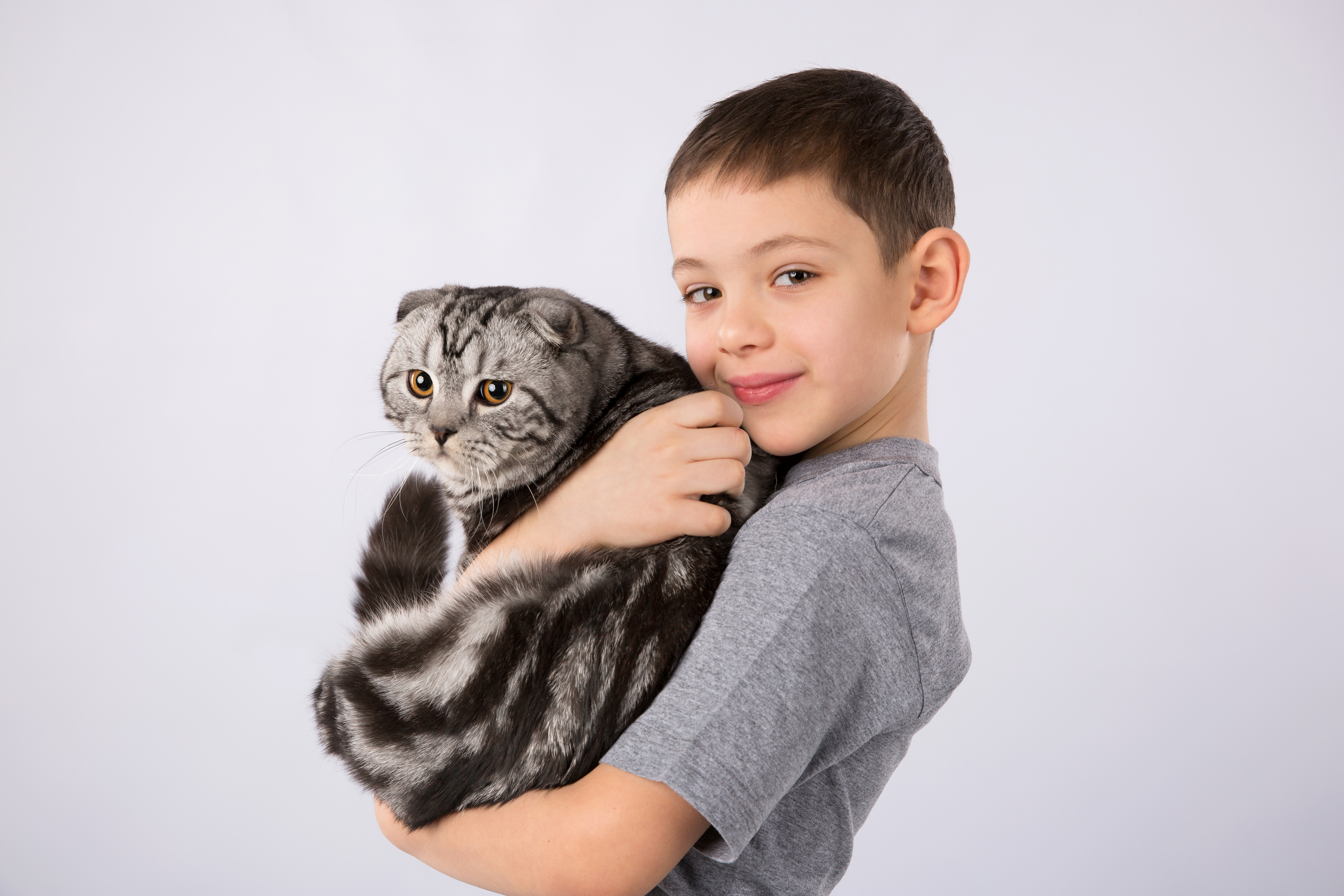 Включи кот пацан. Шотландская вислоухая кошка мальчик. Кошка мальчик. Мальчик с котом на руках.