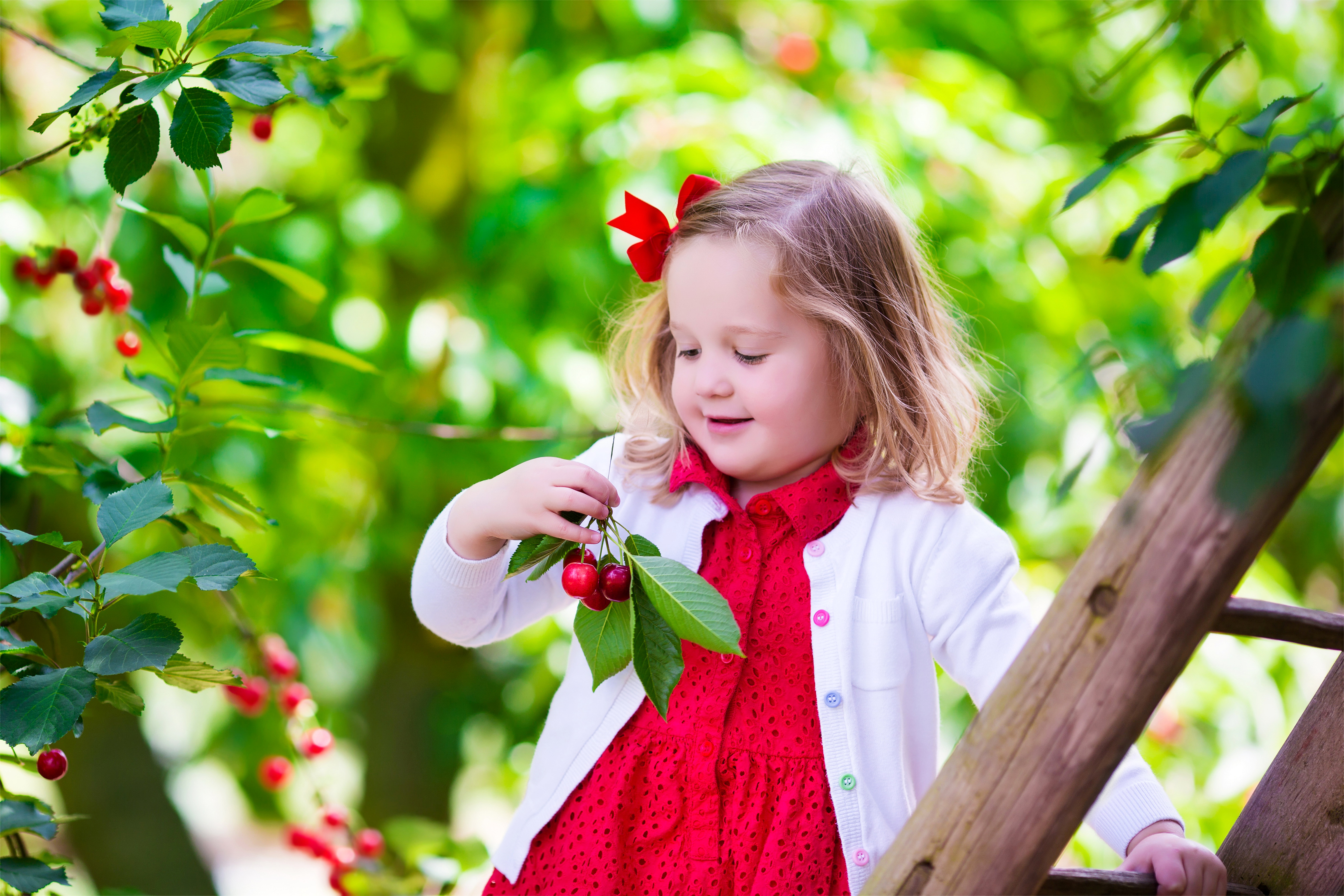 https://www.zastavki.com/pictures/originals/2017People___Children_Little_smiling_girl_is_tearing_cherries_from_a_tree_117960_.jpg