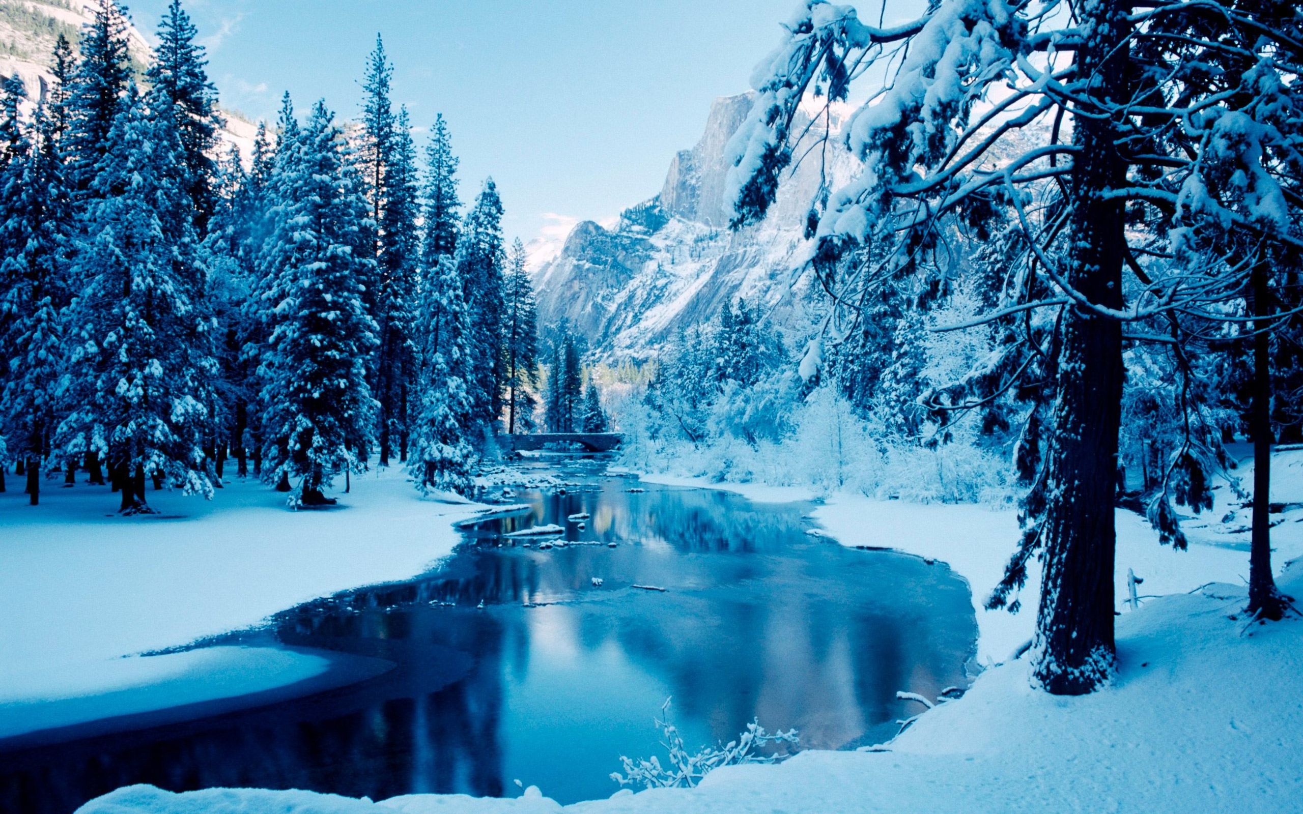 Зимние картинки. Винтер Сноу. Природа зима. Красивая зима. Зимний лес.