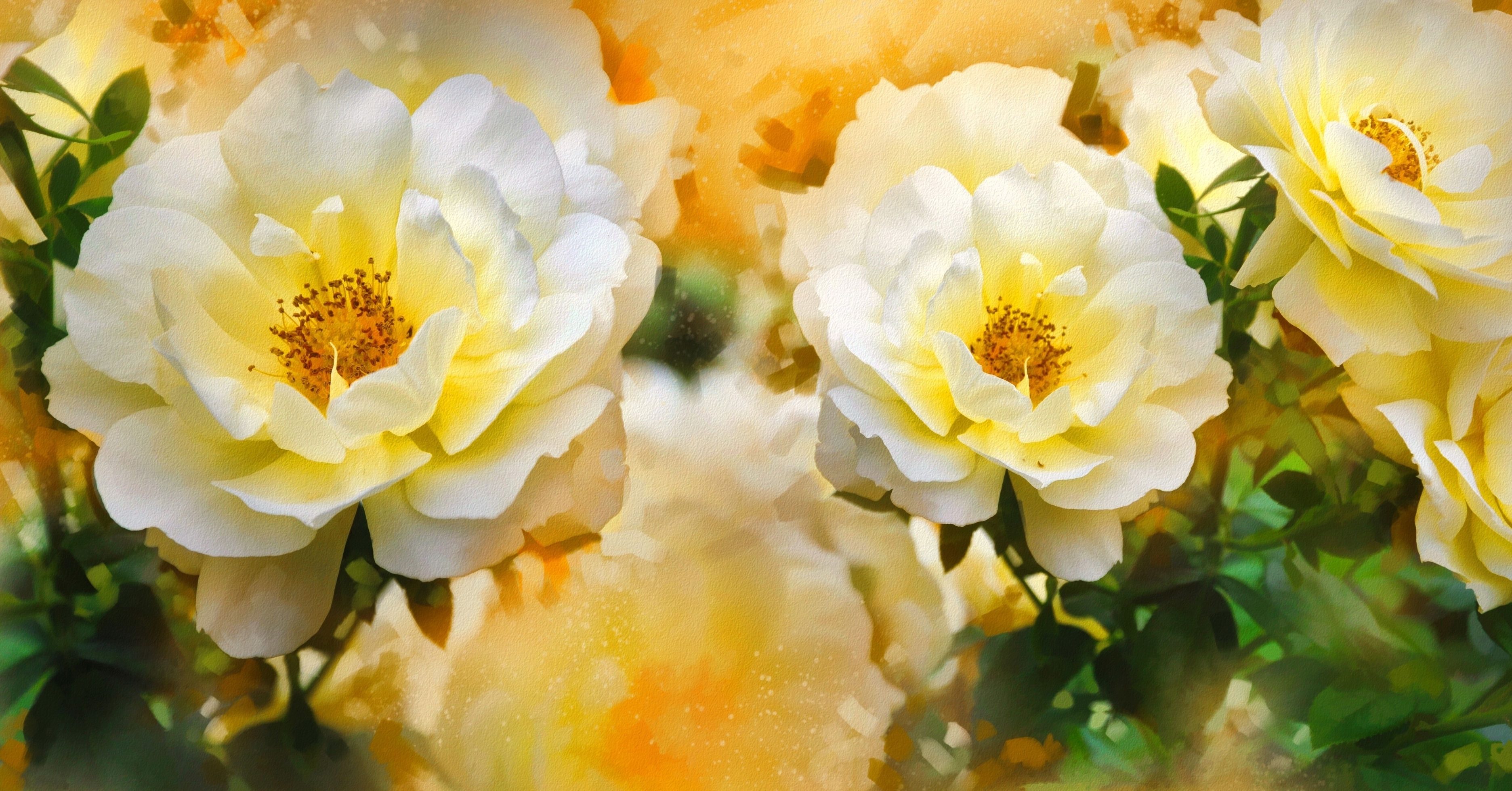 Zastaki.com - Красивые нарисованные распустившиеся белые розы