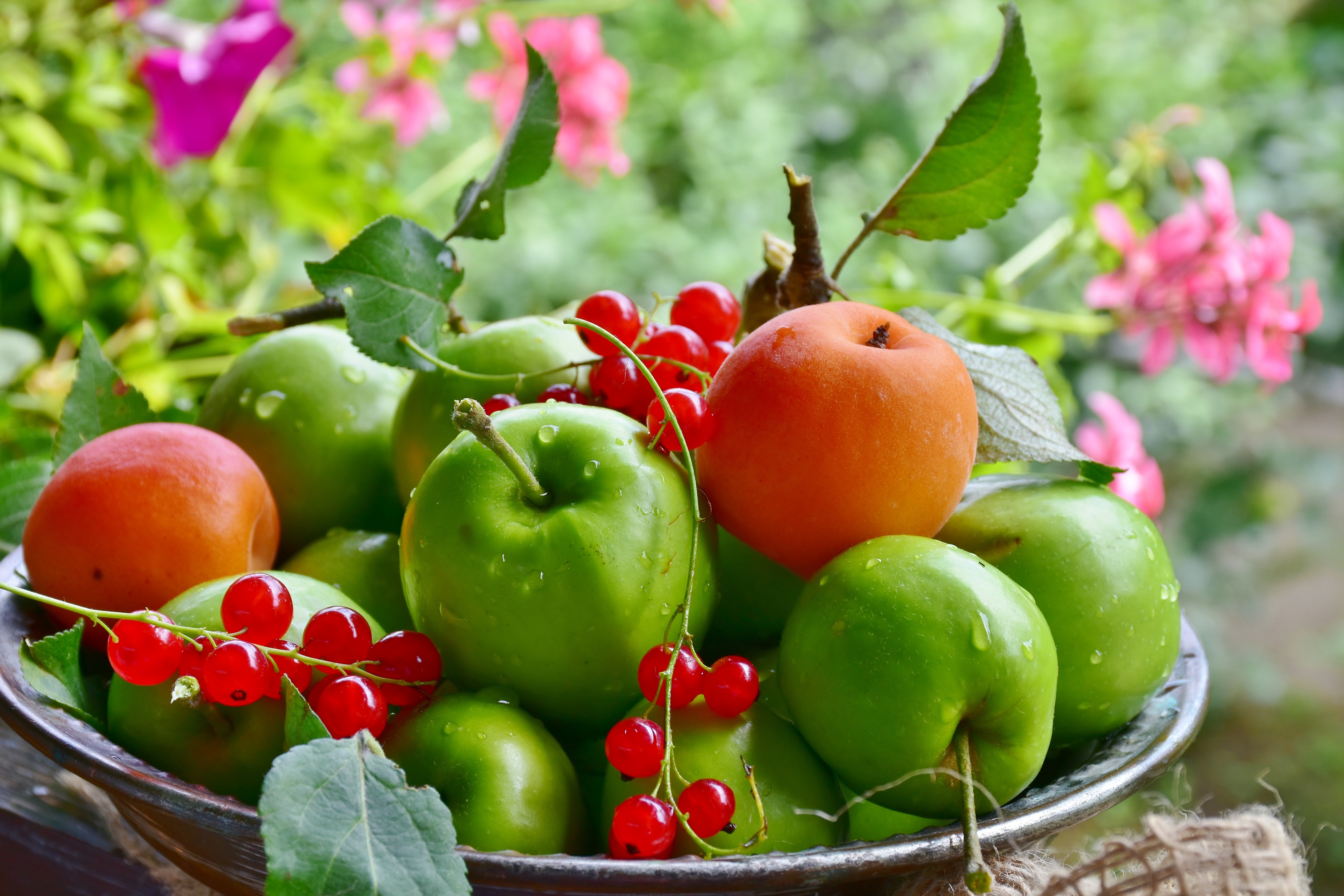 Яблоко плодовый. Летние фрукты. Сочные фрукты и овощи. Красивые фрукты. Красивые яблоки.