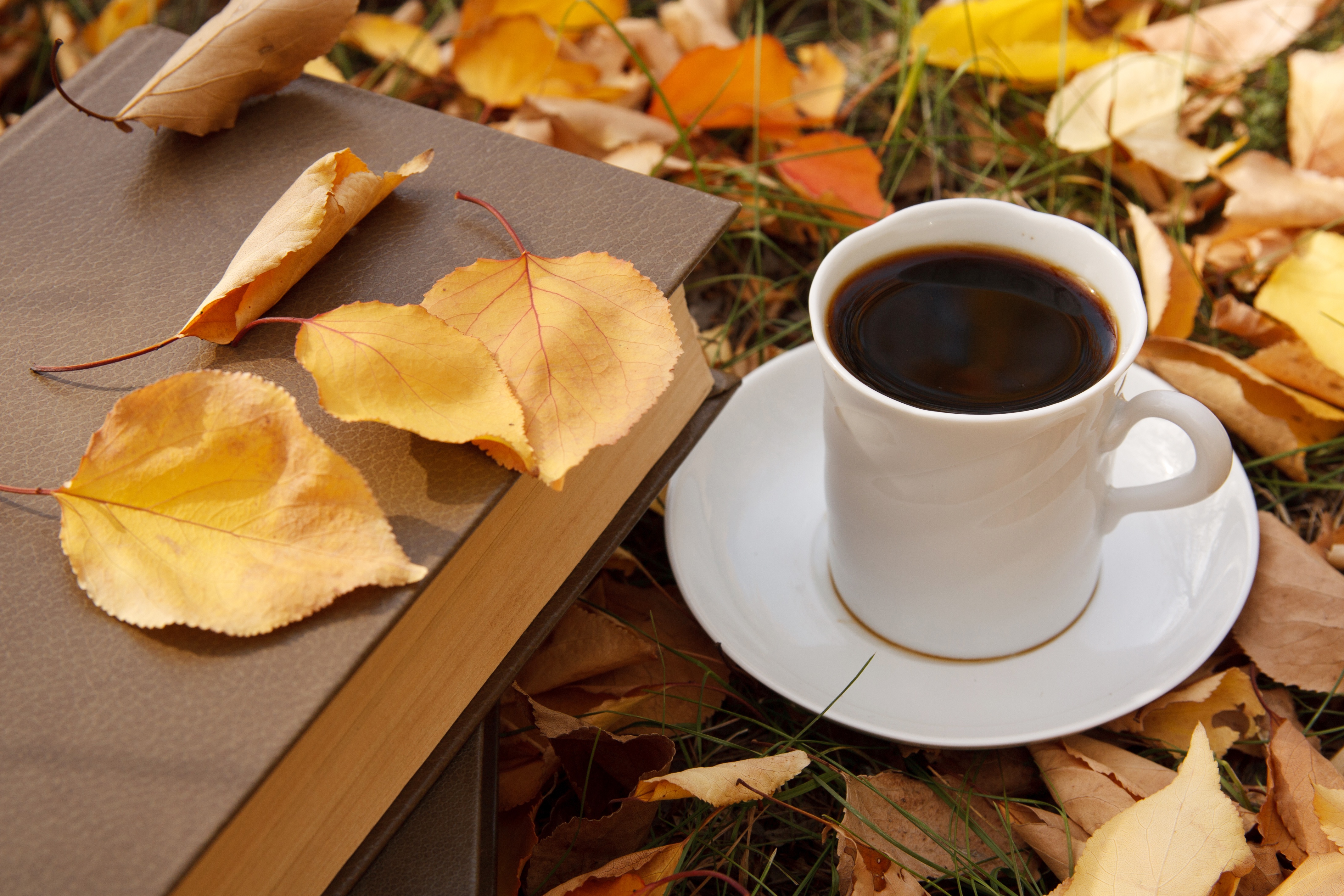 Pin on ♡ aesthetic ♡ Autumn coffee, Coffee time, Beautiful food