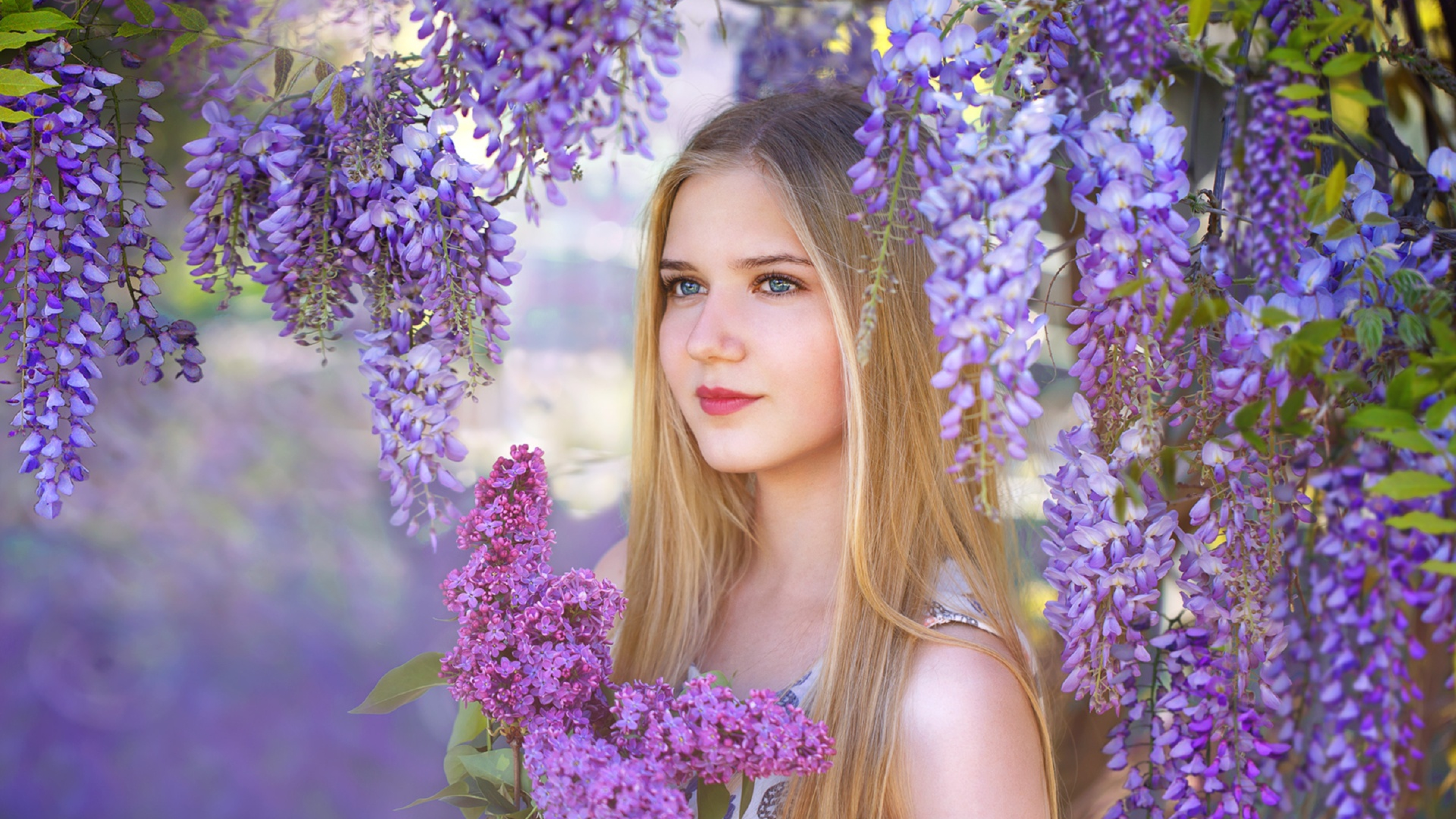 Beautiful Blonde With A Bouquet Of Lilac On The Background Of Wisteria Flowers Wallpapers And Images Wallpapers Pictures Photos