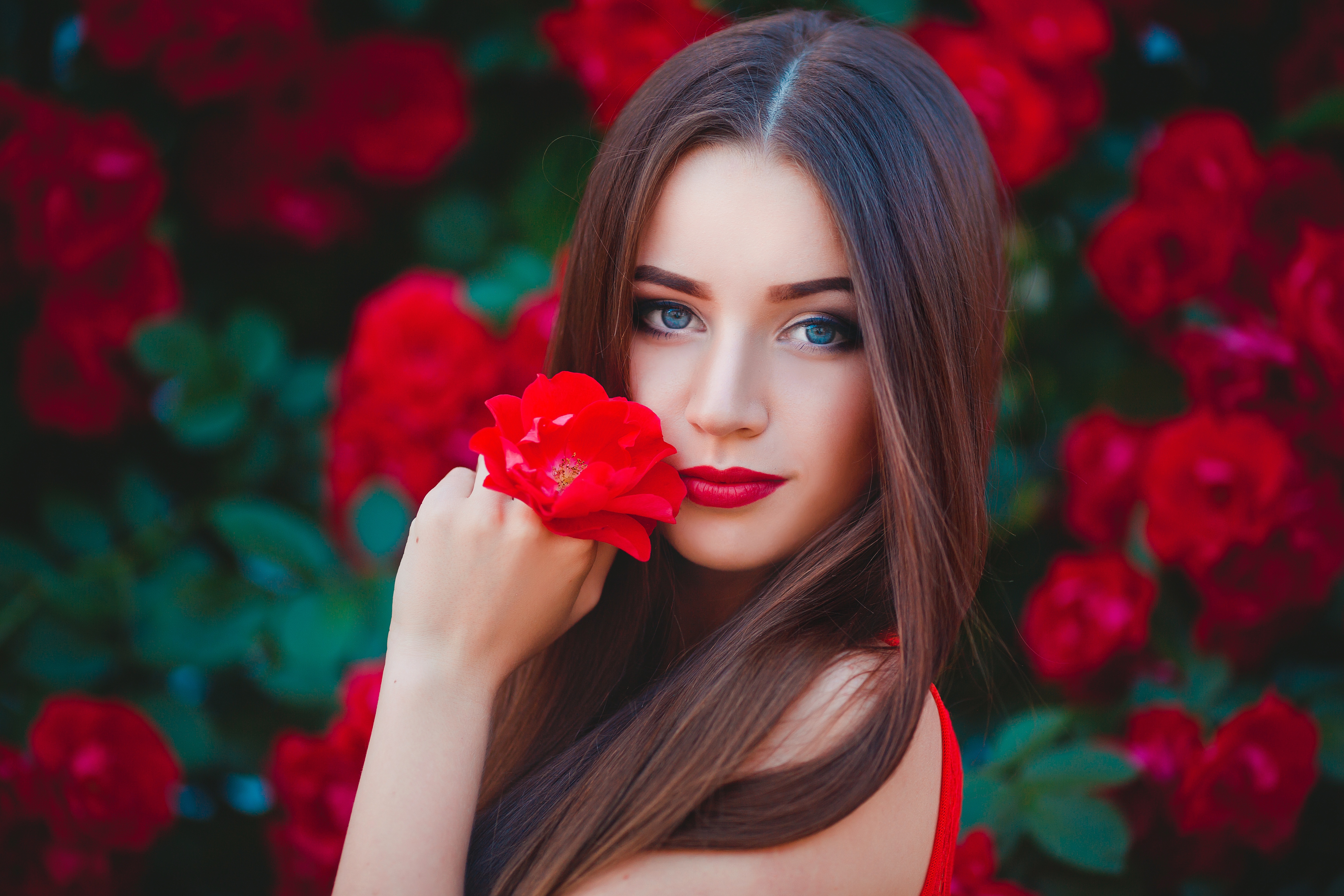 She is a beautiful girl. Девушка с розой. Девушка с красными розами. Брюнетка с красными розами. Девушка с цветком.