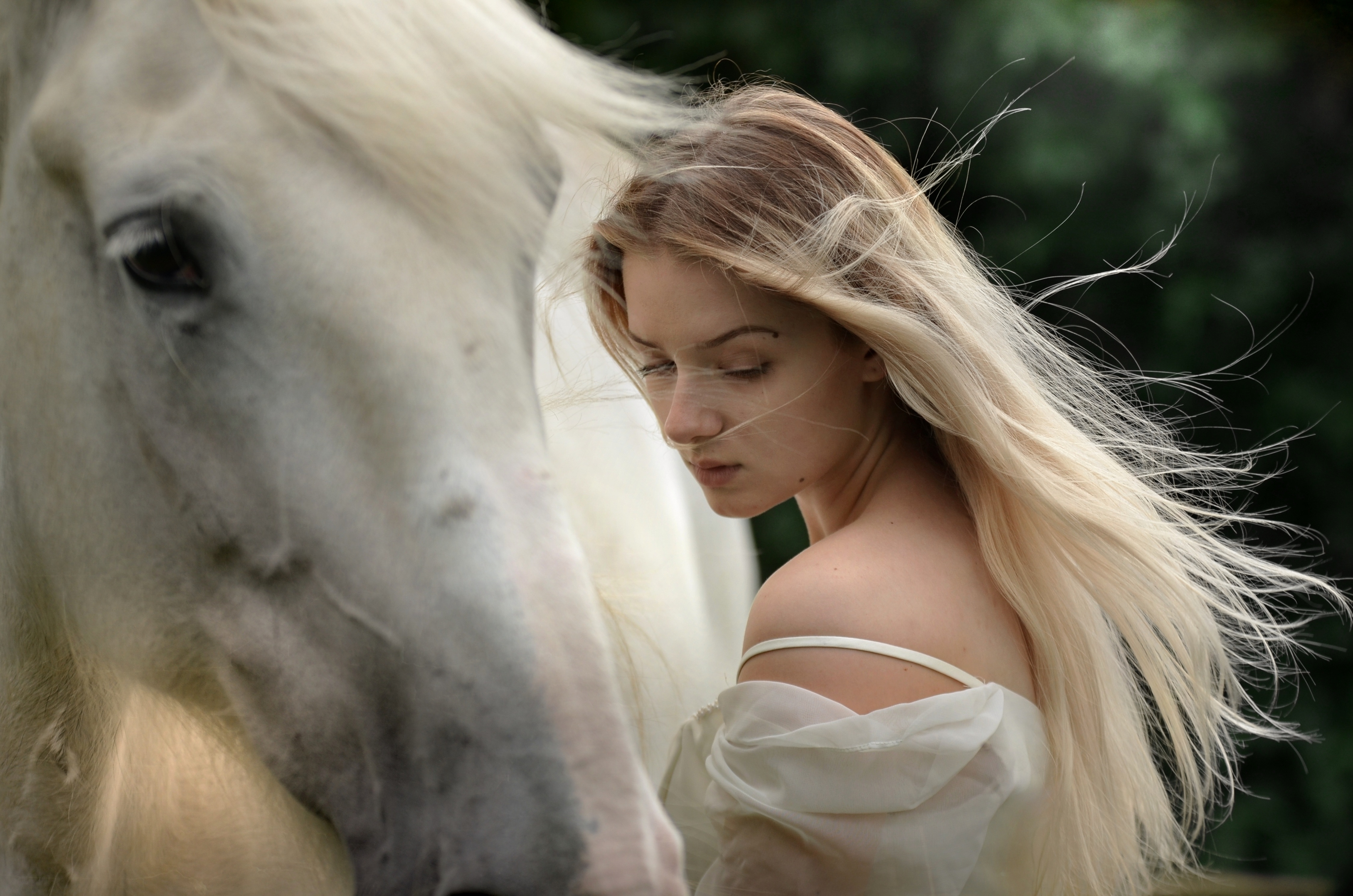 Девки и лошади. Девушка с лошадью. Девушка и белая лошадь. Девушка на коне. Девочка на лошади.