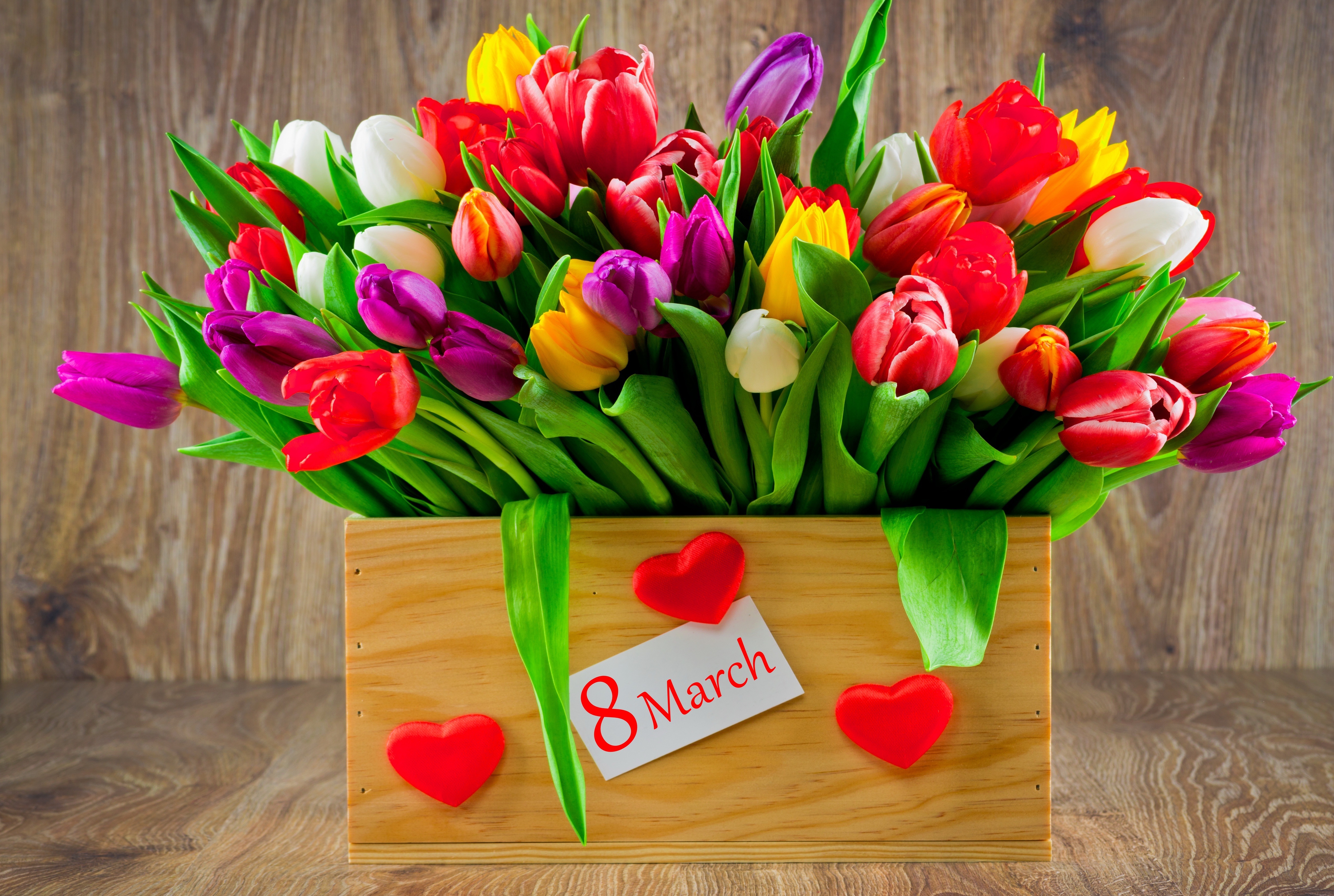 2018Holidays___International_Womens_Day_Box_of_multicolored_tulips_for_International_Women_s_Day_on_March_8_124455_.jpg