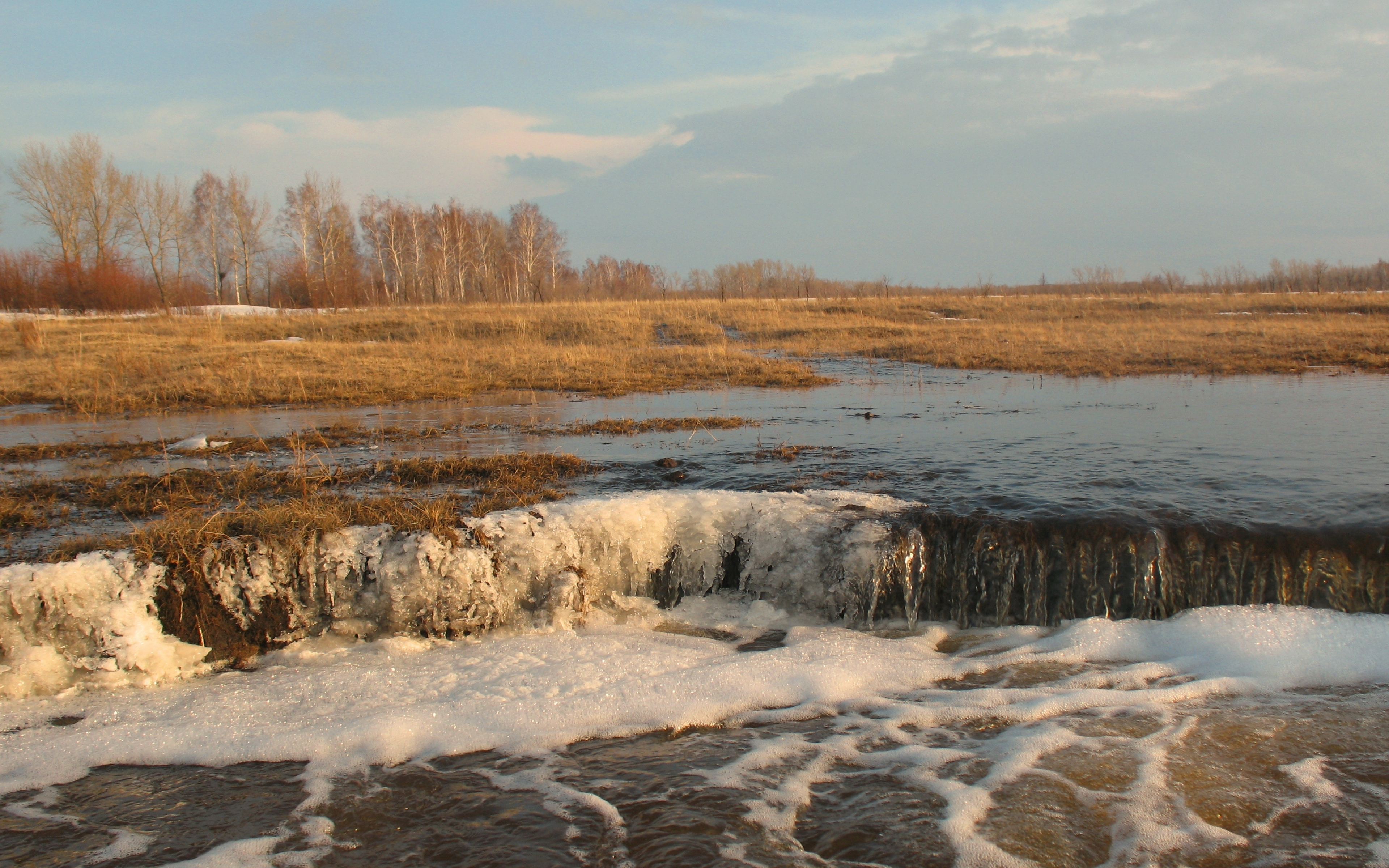 Кой апрель