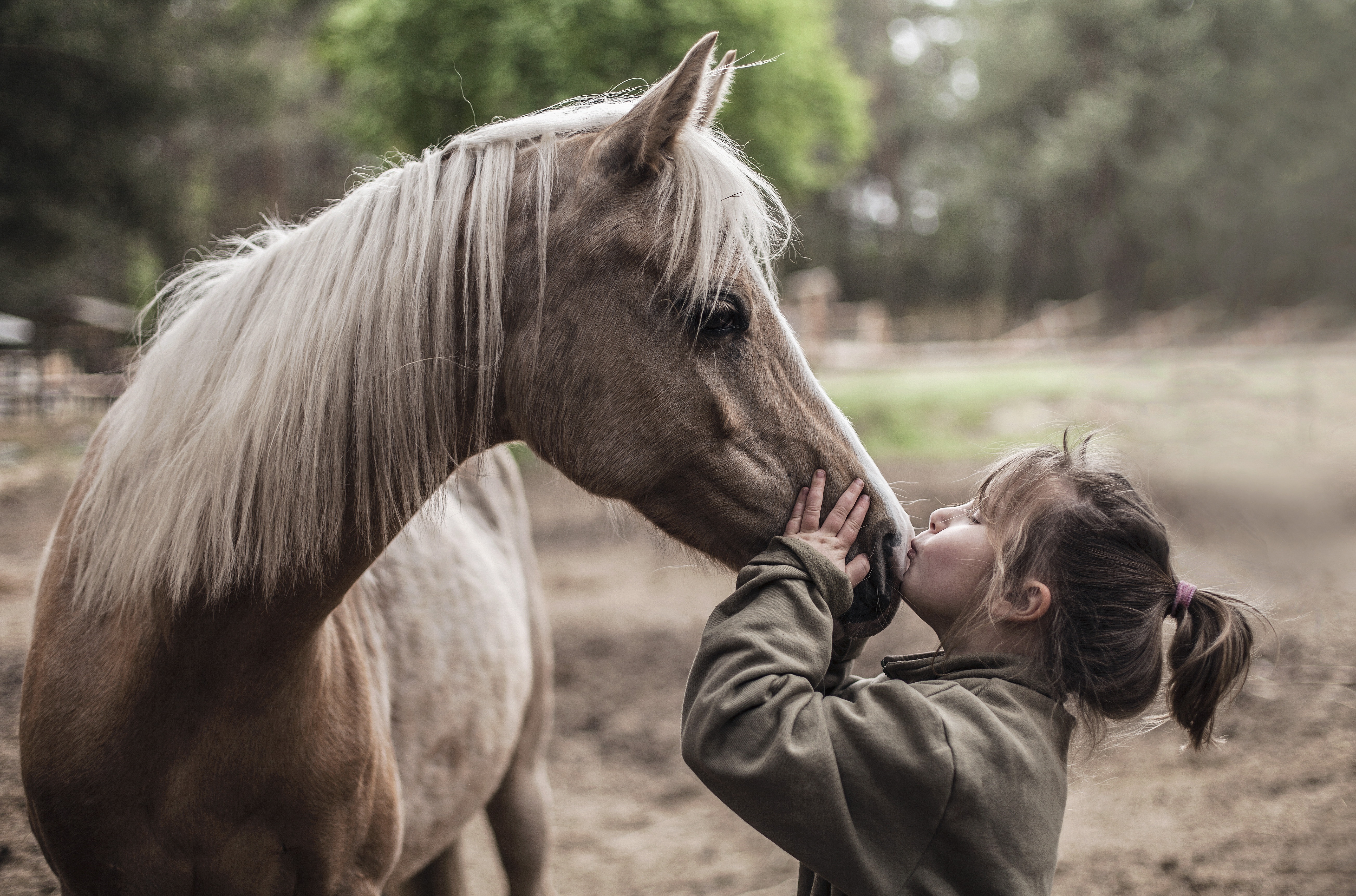 Друзья лошадки. Девочка на лошади. Лошадь для детей. Лошадки для девочек. Девочка и конь.