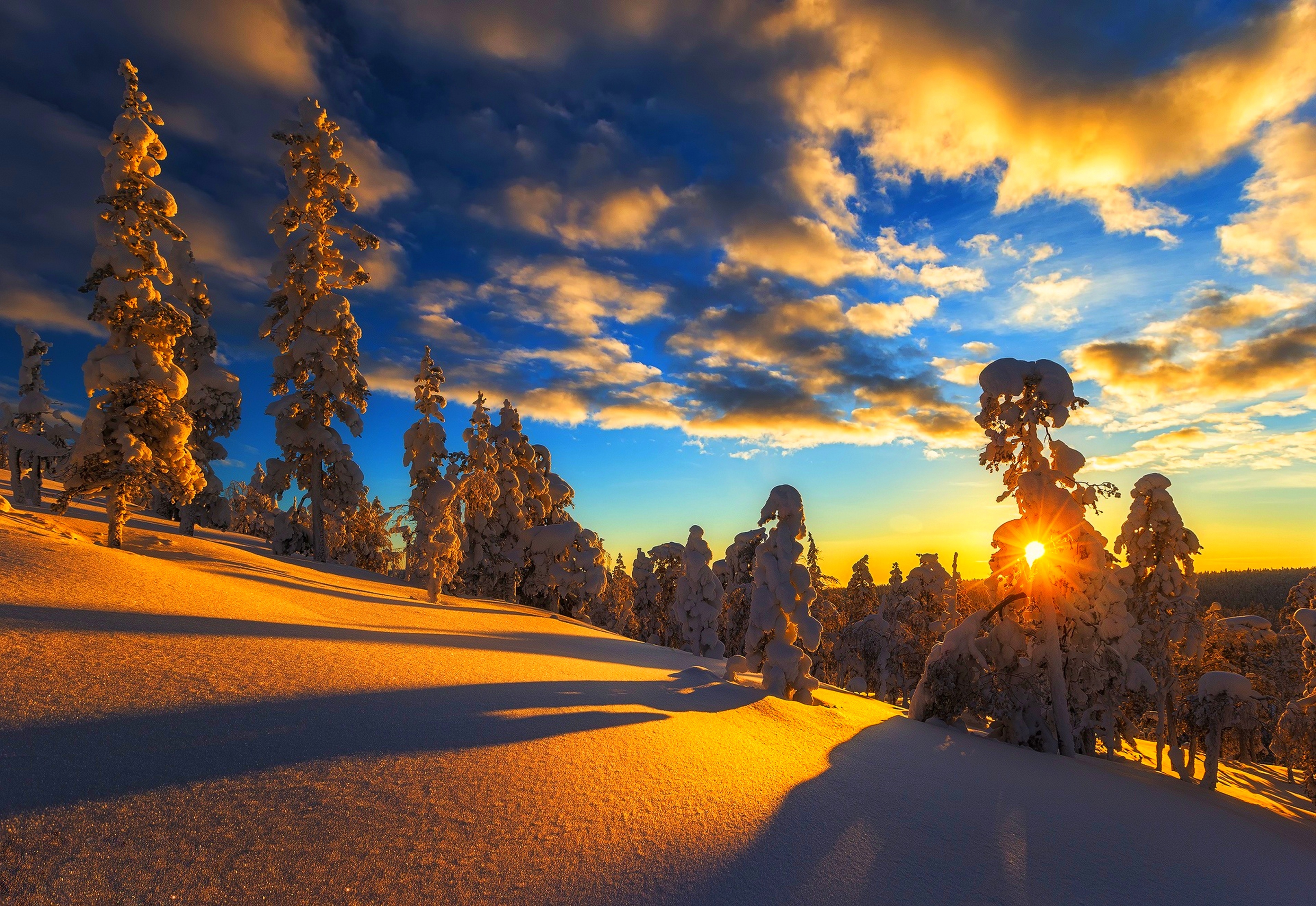https://www.zastavki.com/pictures/originals/2018Winter_Beautiful_sunrise_of_a_bright_winter_sun_over_a_snowy_forest_129117_.jpg