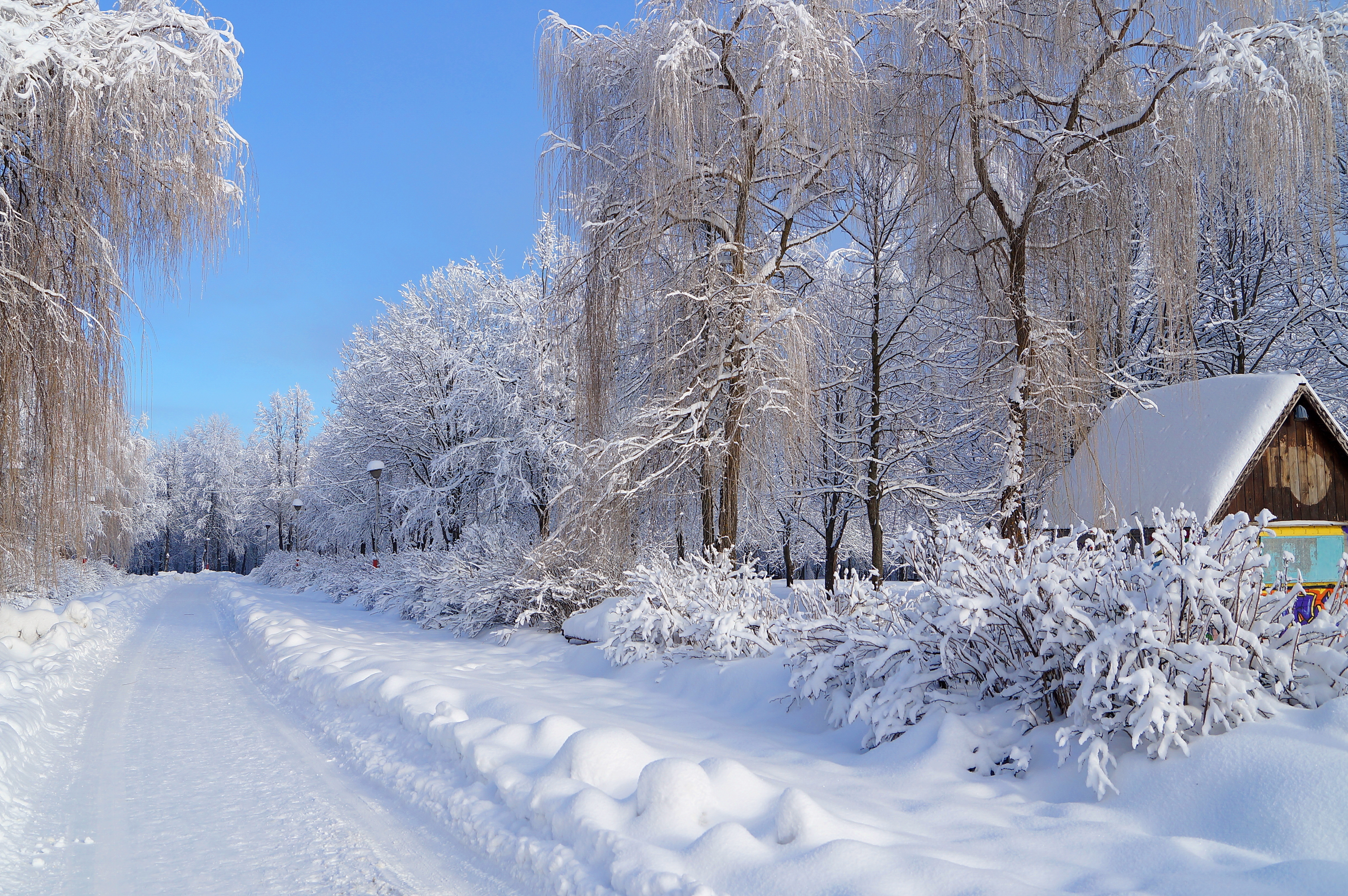 Январские сугробы. Зимняя природа. Зима пейзаж. Красивая зима. Красота зимы.