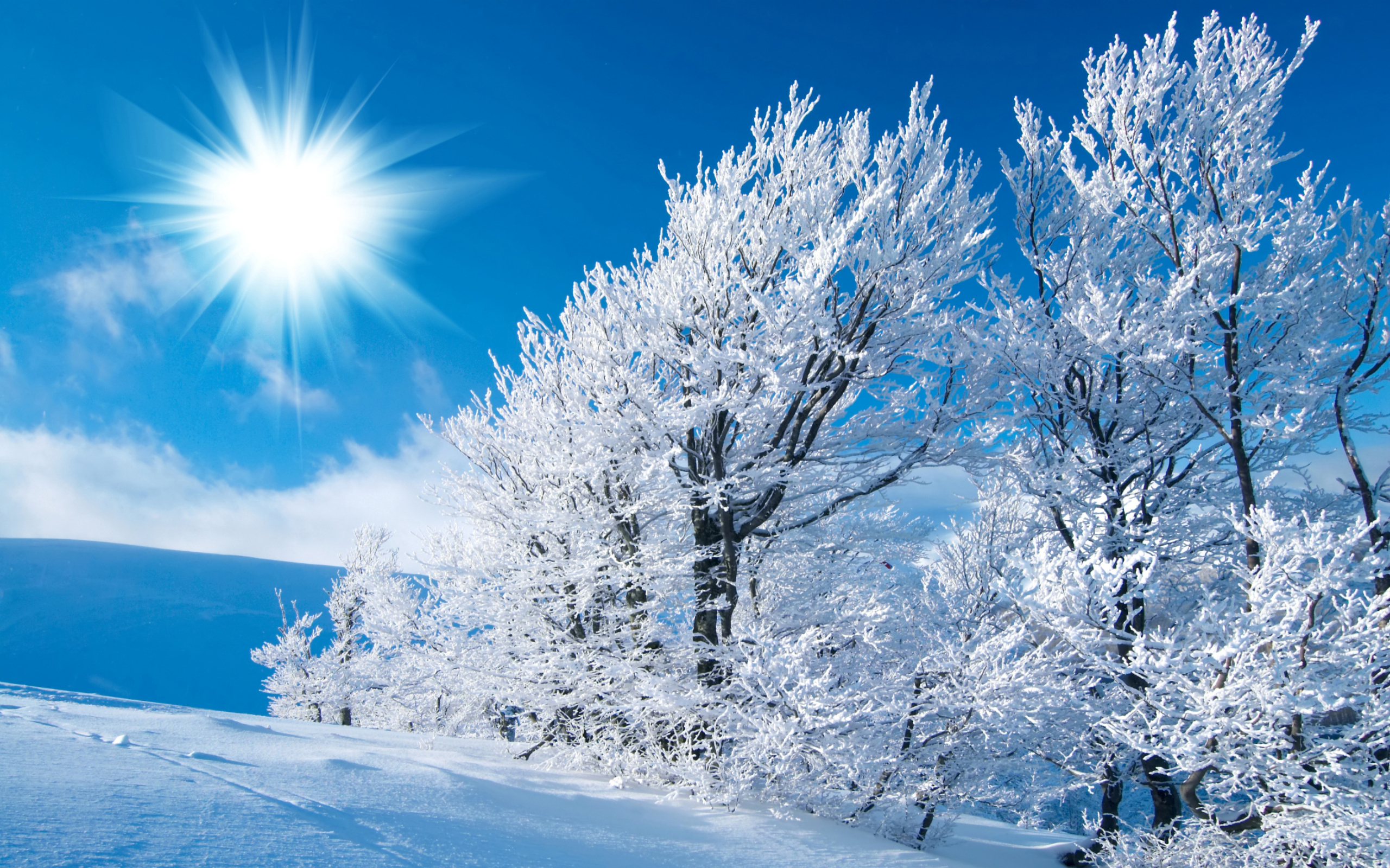 Снежок пк. Красивая зима. Зима солнце. Зимняя природа. Зима пейзаж.
