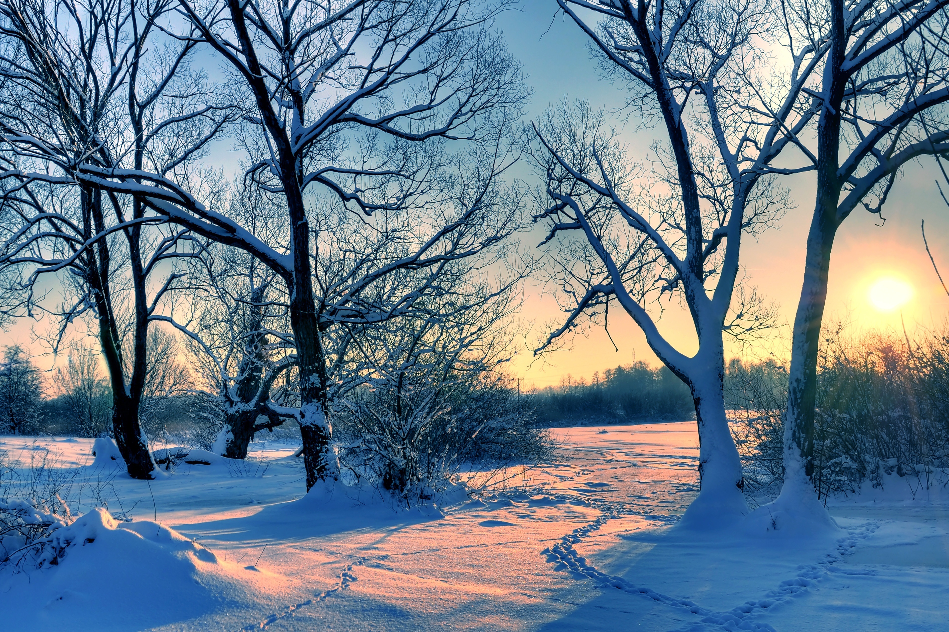 Красивая природа февраль. Зимняя природа. Зима пейзаж. Солнечный зимний день. Зимний Солнечный пейзаж.