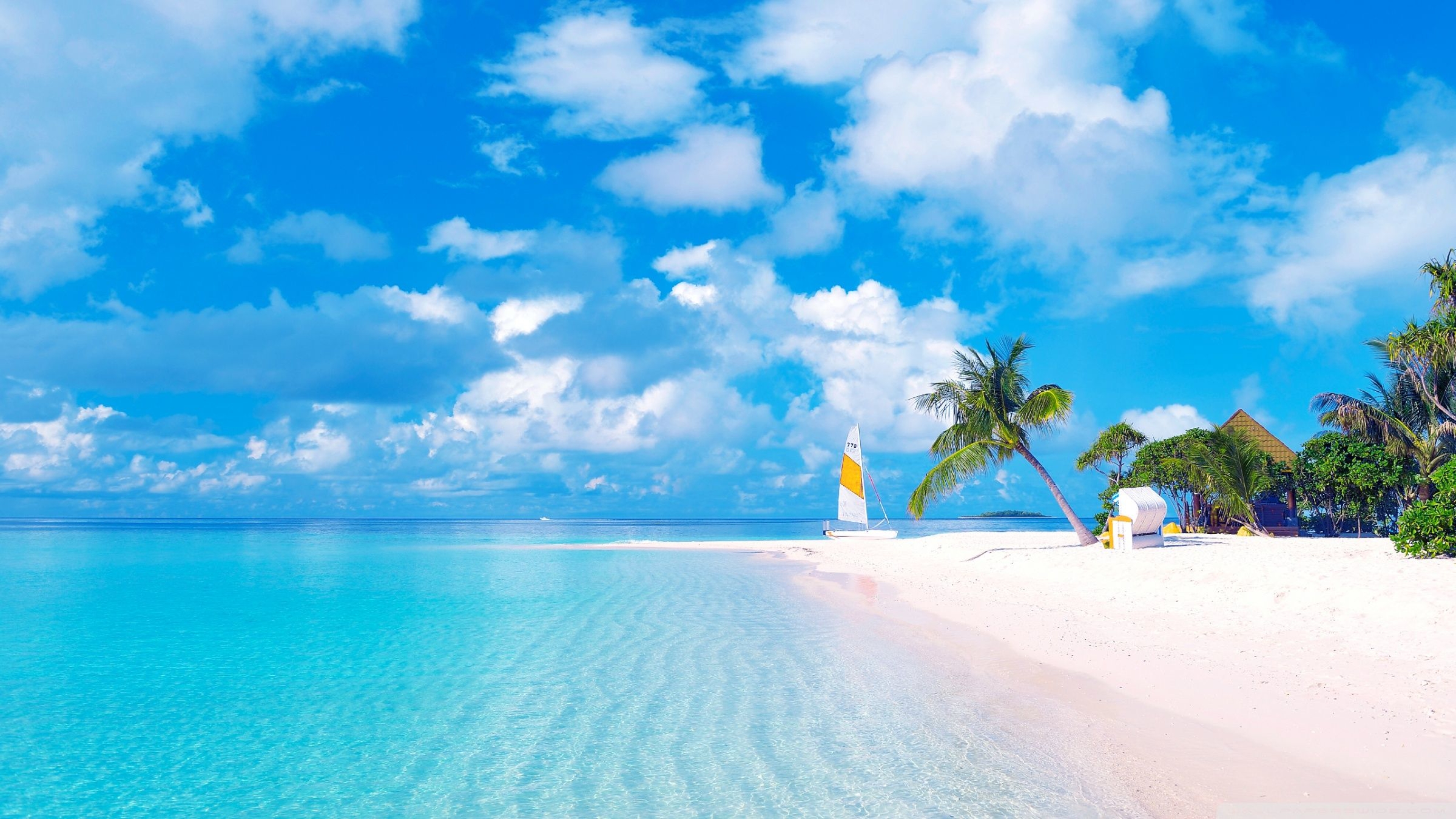 Море экзотика. Парадиз остров Карибского моря. Канары, Карибы, Мальдивы, Сейшелы.. Гавайи Мальдивы Карибы. Море пляж.