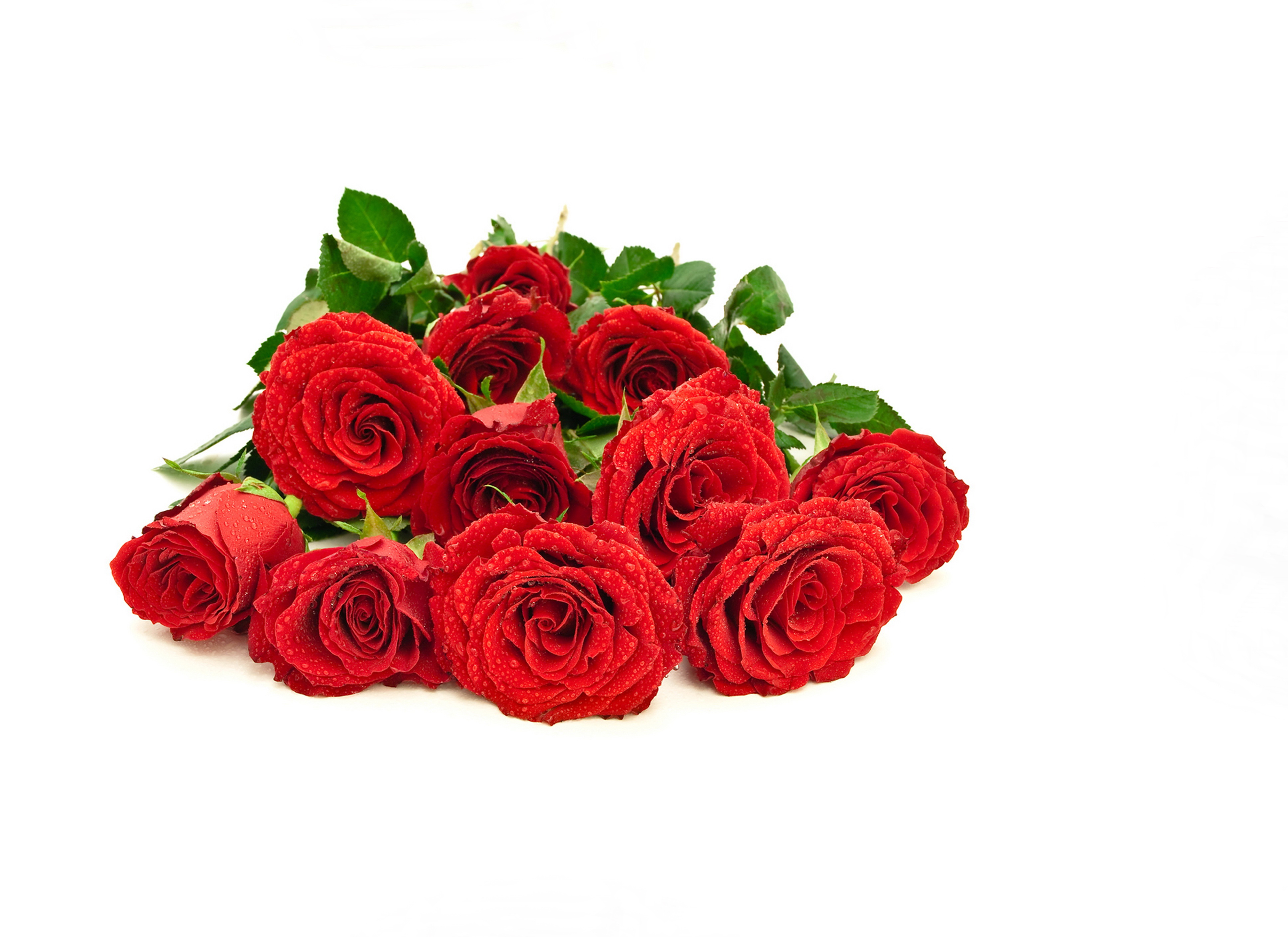 К чему снится букеты роз женщине. Красные розы. Букет роз. Букет красных роз. Букет роз на прозрачном фоне.