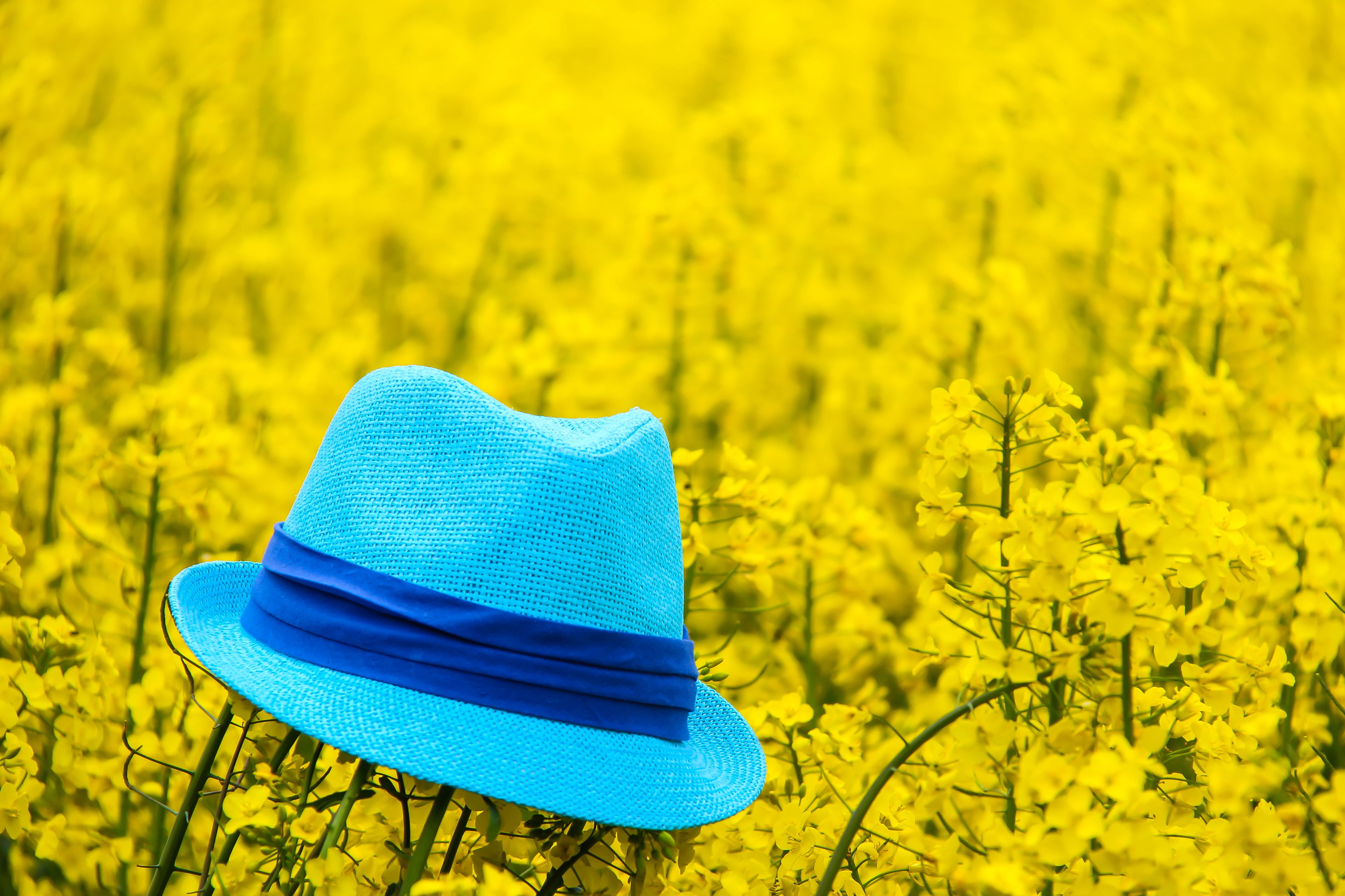 Шляпа на желтом фоне