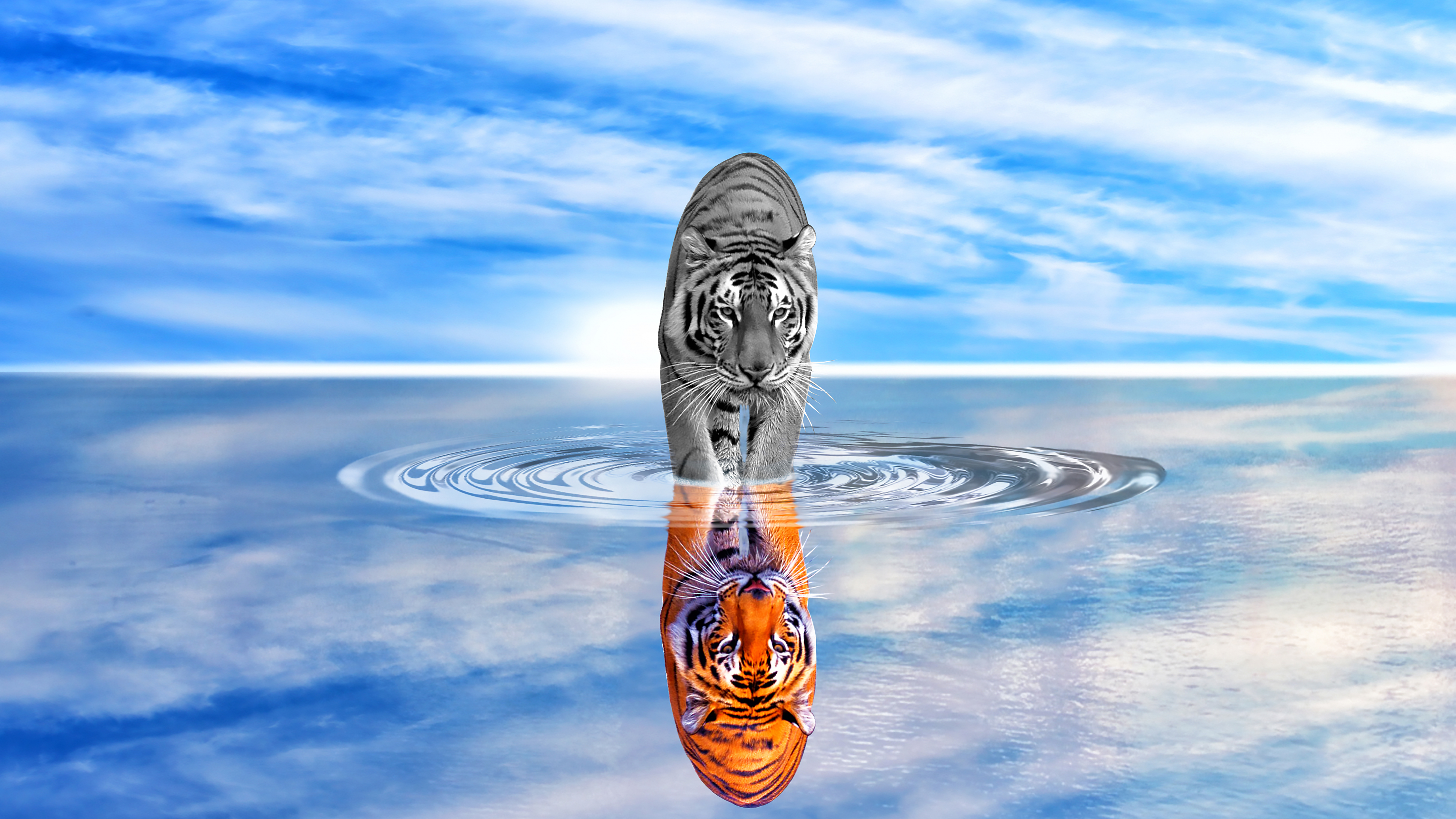 Отражение Льва в воде