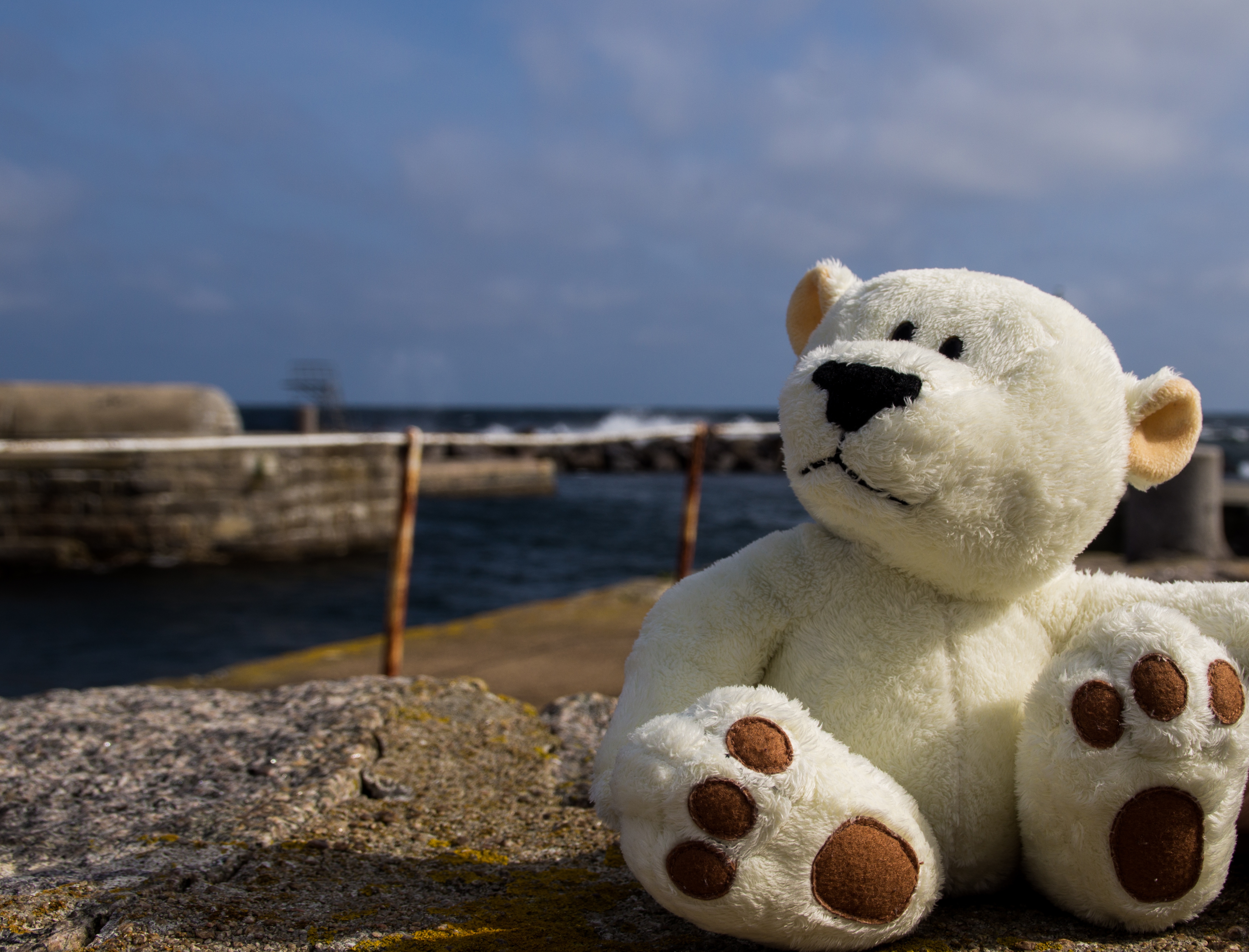 Zastaki.com - Белый плюшевый медведь сидит на камне у моря