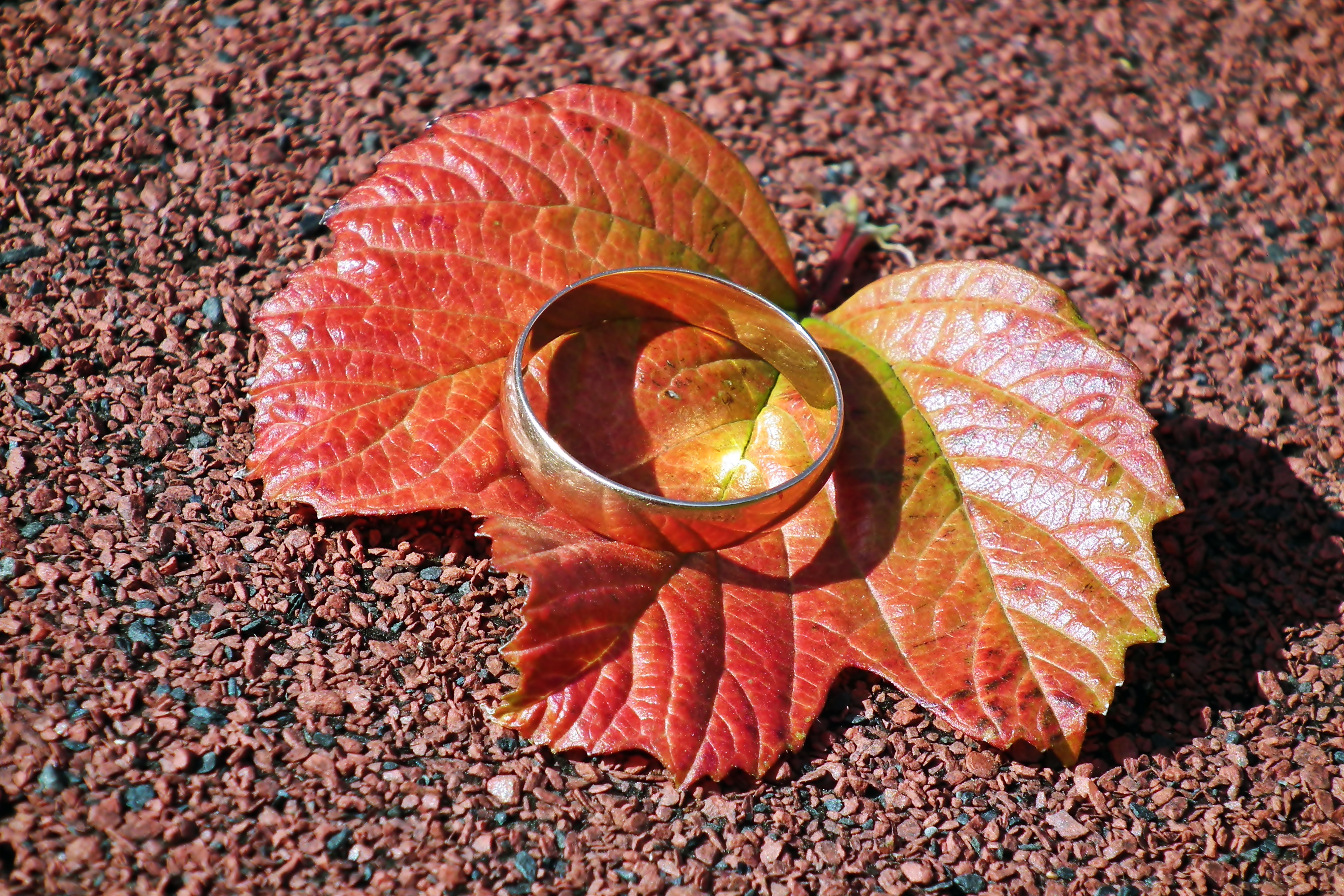 Zastaki.com - Серебряное кольцо лежит на оранжевом листе
