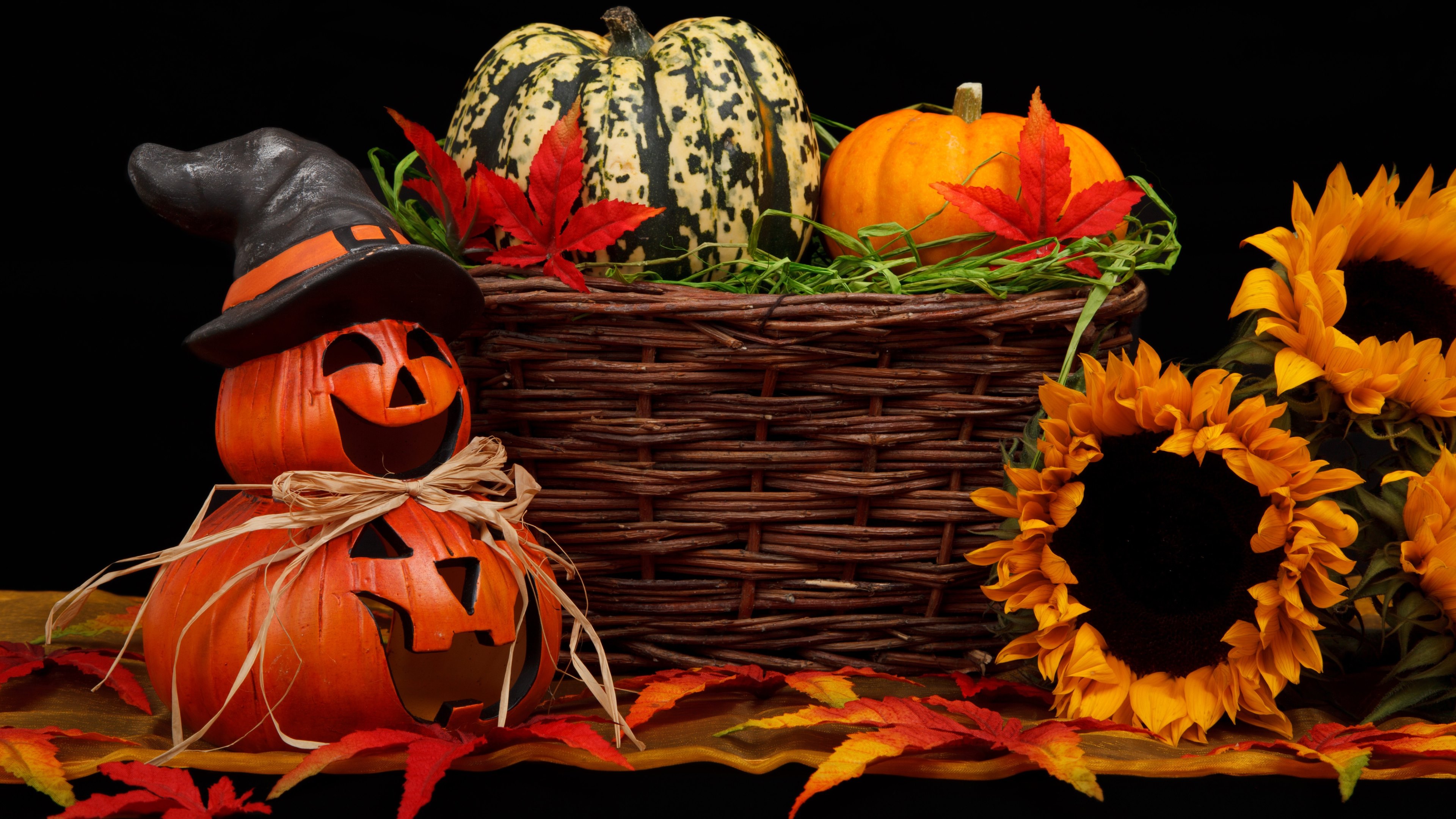 Осенний праздник тыквы. Тыква Хэллоуин. Хэллоуин праздник. Осень тыквы. Осень Хэллоуин.