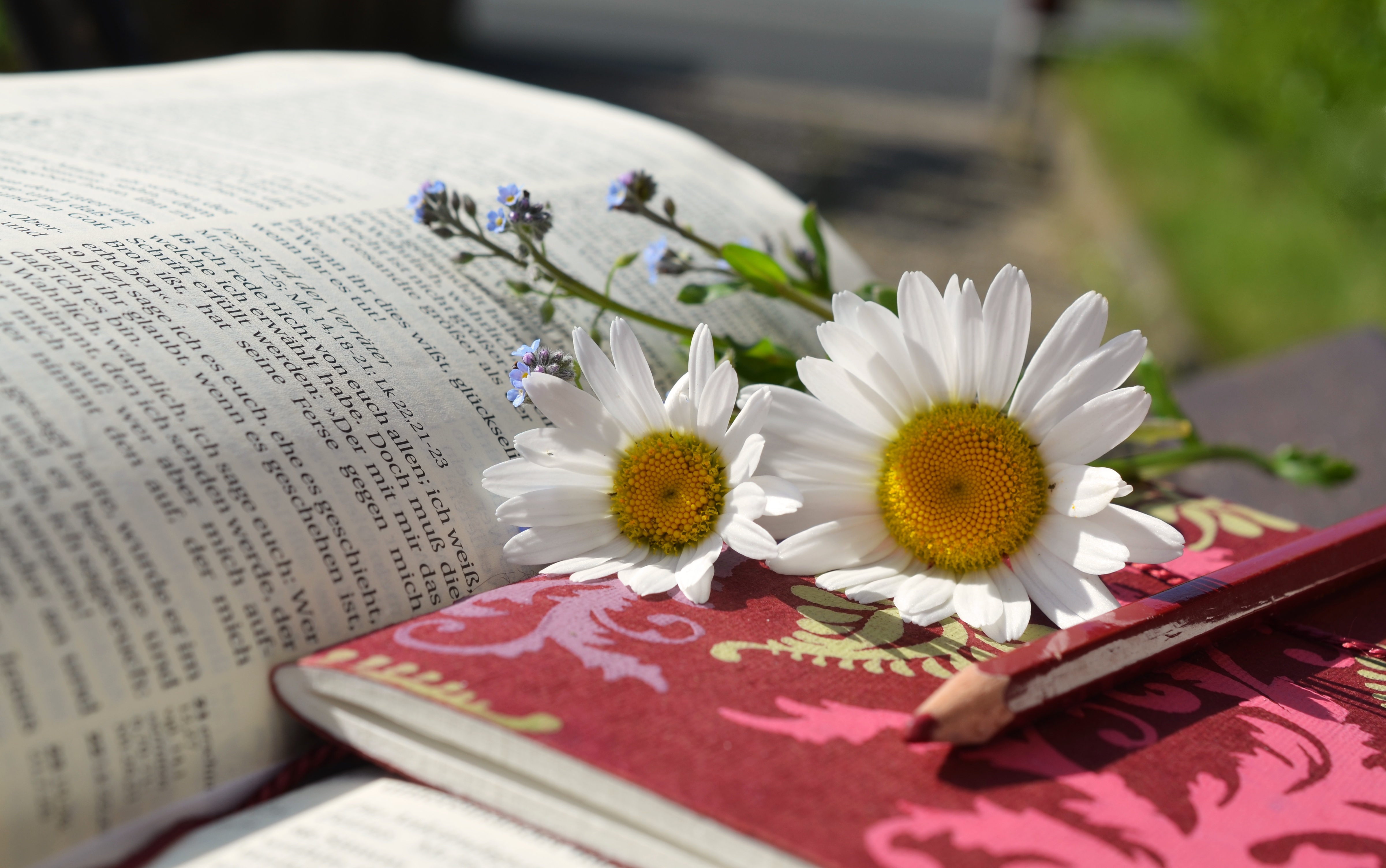 Книга в жизни маленьких детей. Книга цветы. Книги и ромашки. Лето с книгой. Поэзия в цветах.