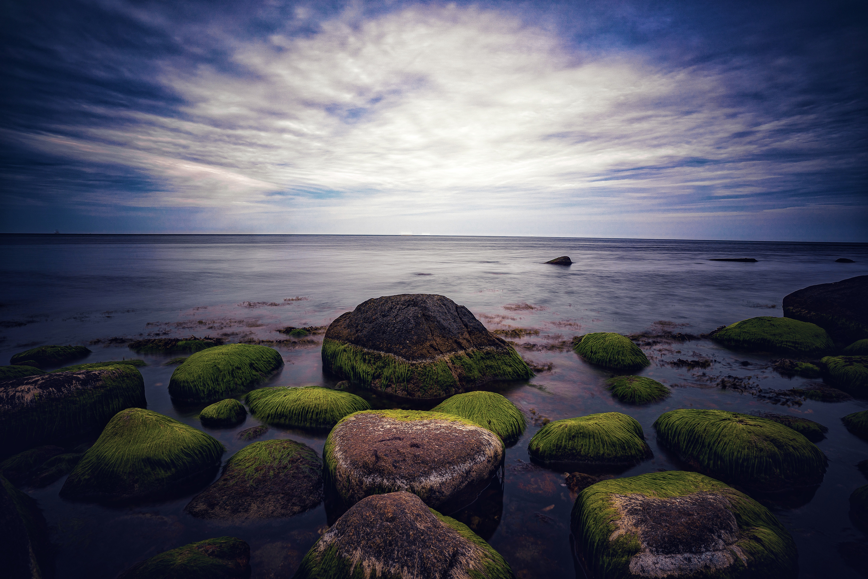 Zastaki.com - Мокрые покрытые зеленым мхом камни в море 