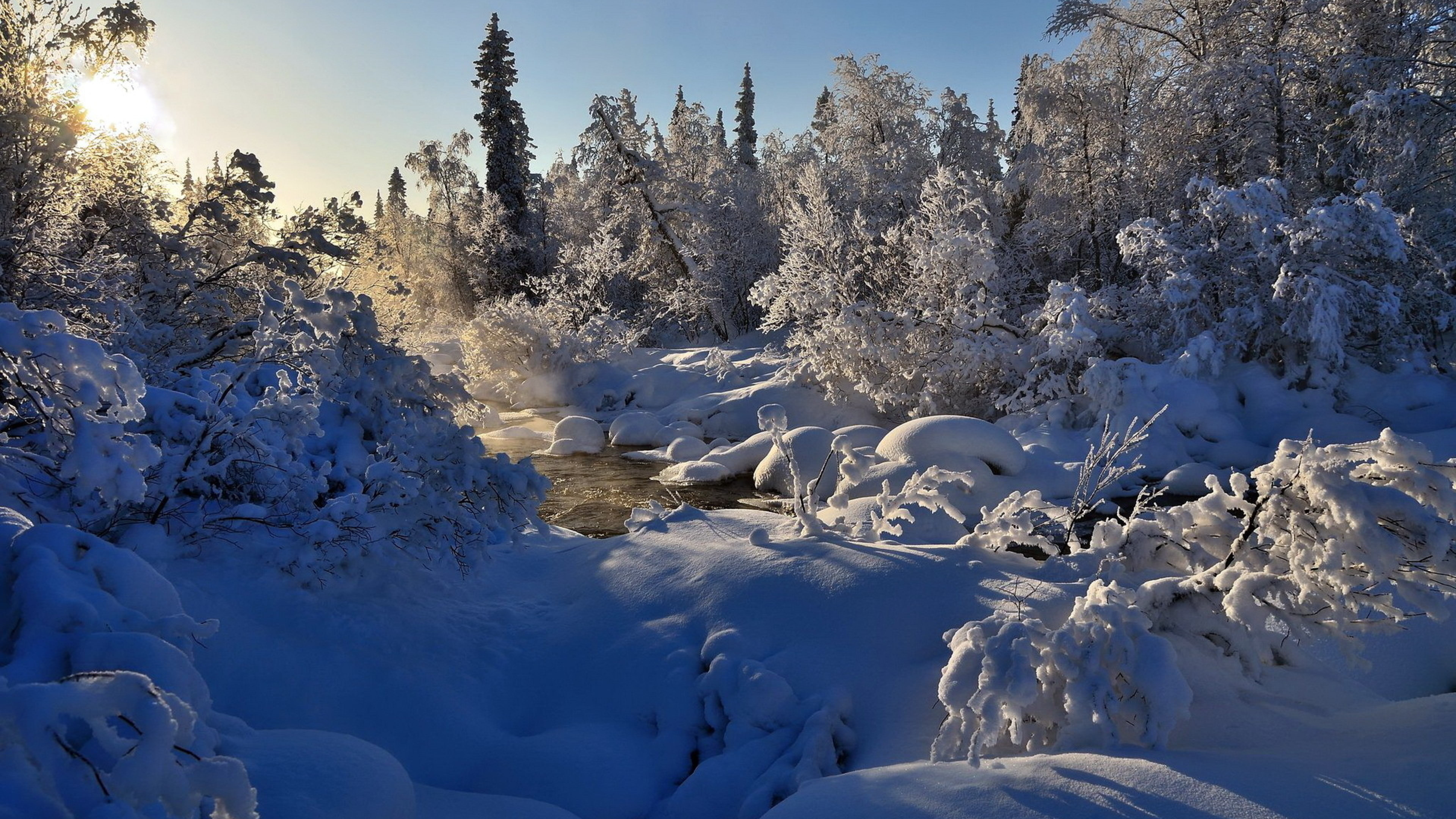 Звуки природы зимой. Зимняя природа. Пейзаж зимнего леса. Зимний Лесной пейзаж. Зимняя река.