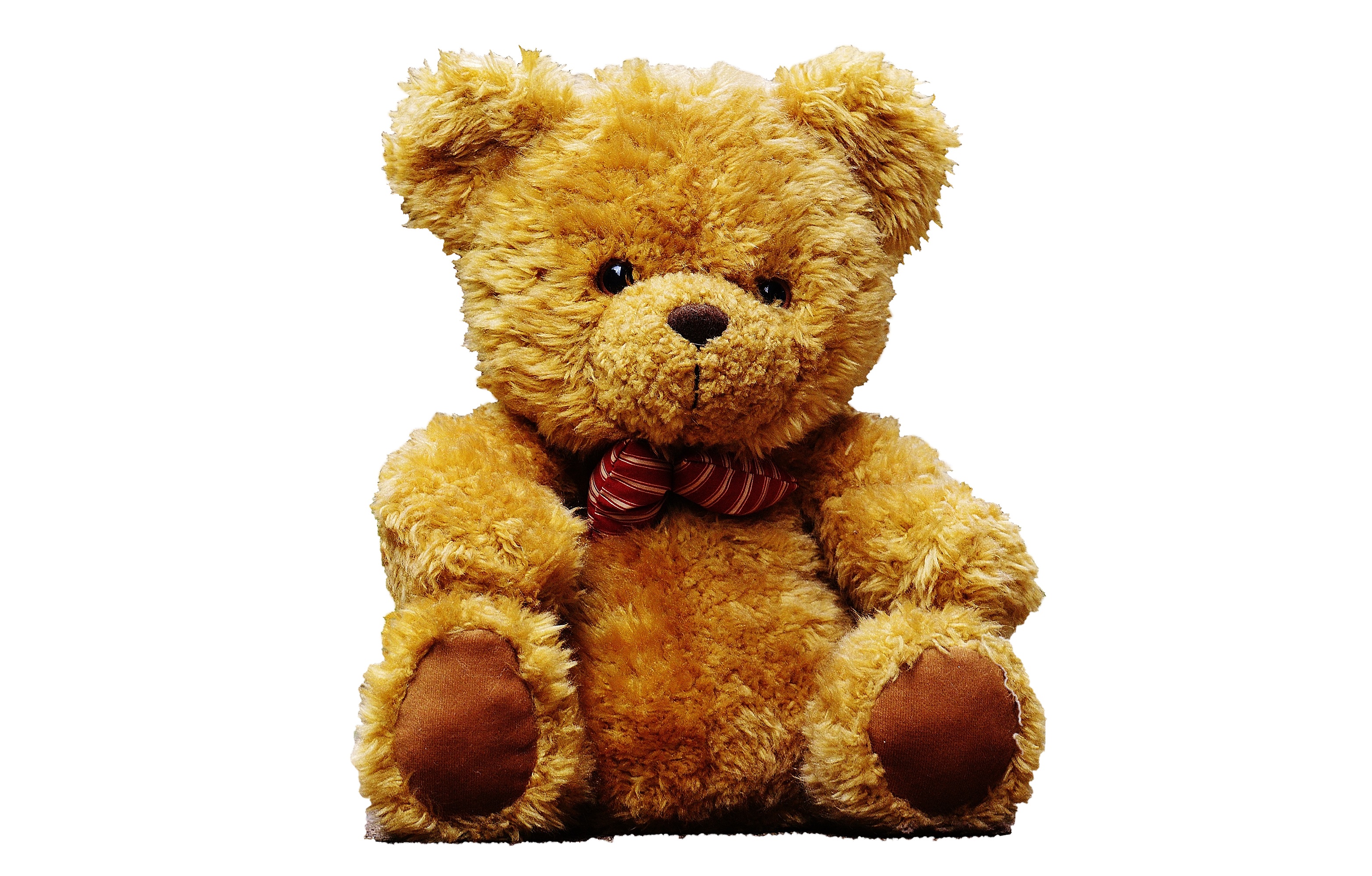 I m teddy bear