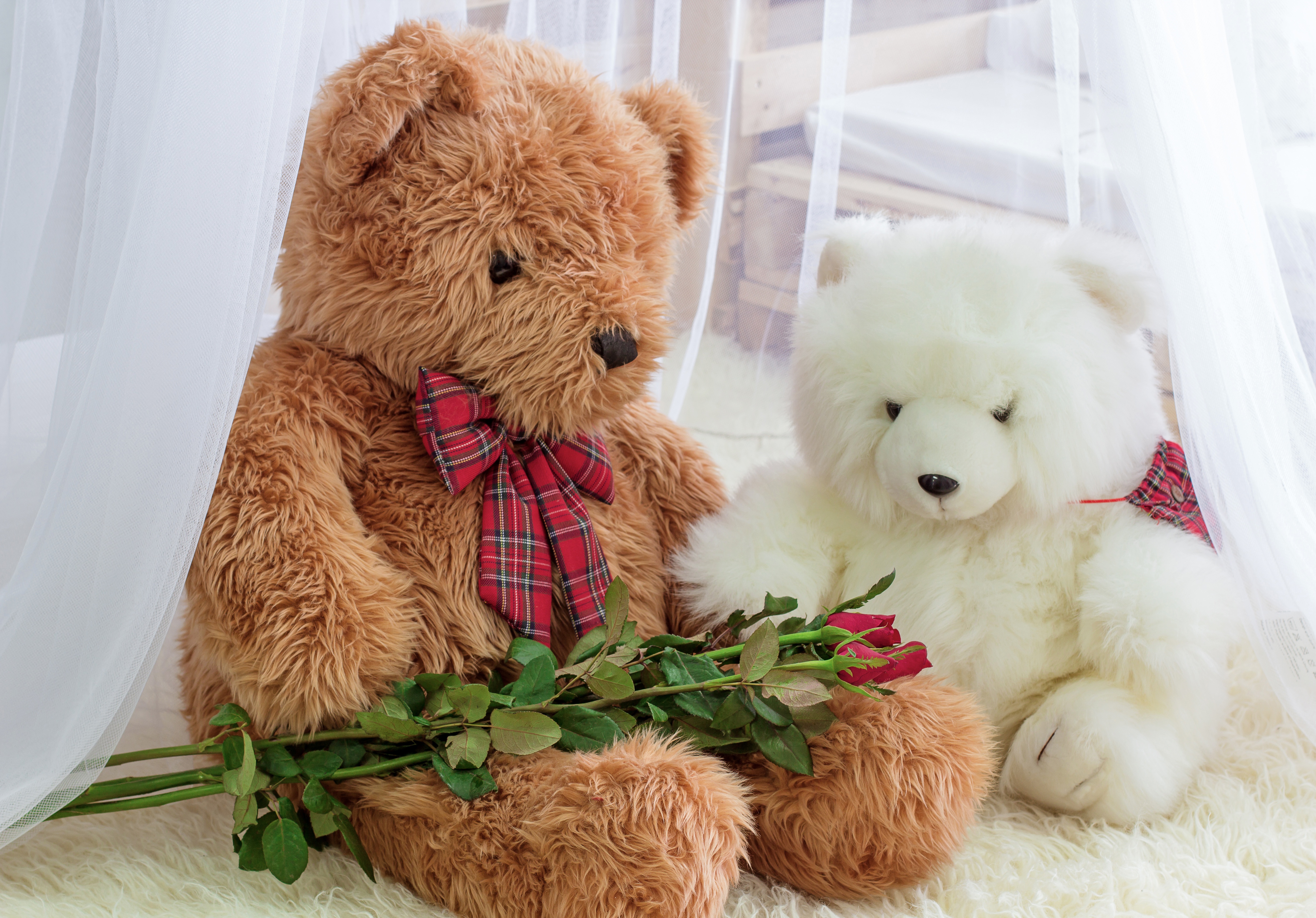 Zastaki.com - Два больших игрушечных медведя с букетом роз