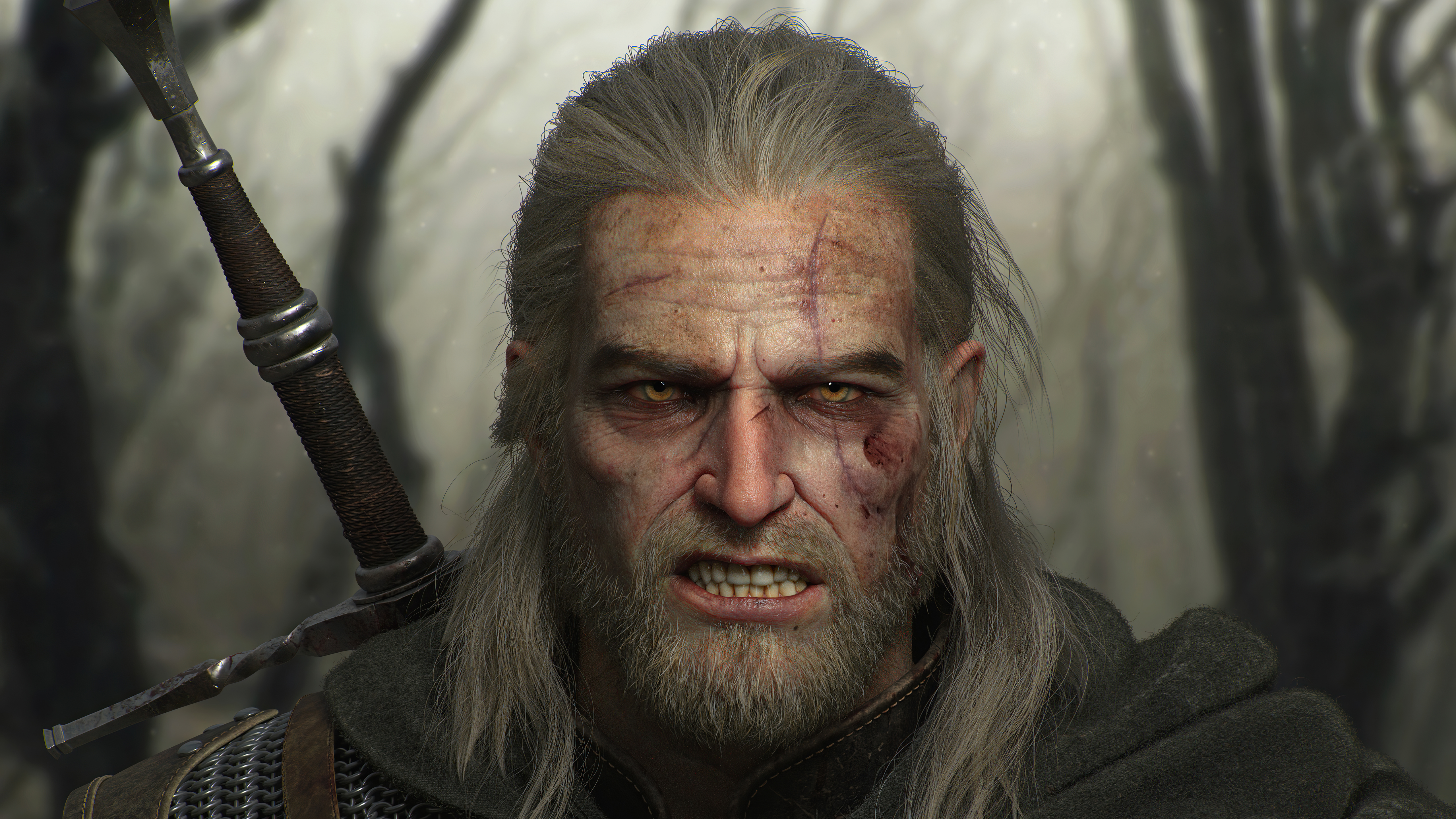 Zastaki.com - Воин из игры Geralt Of Rivia The Witcher 3
