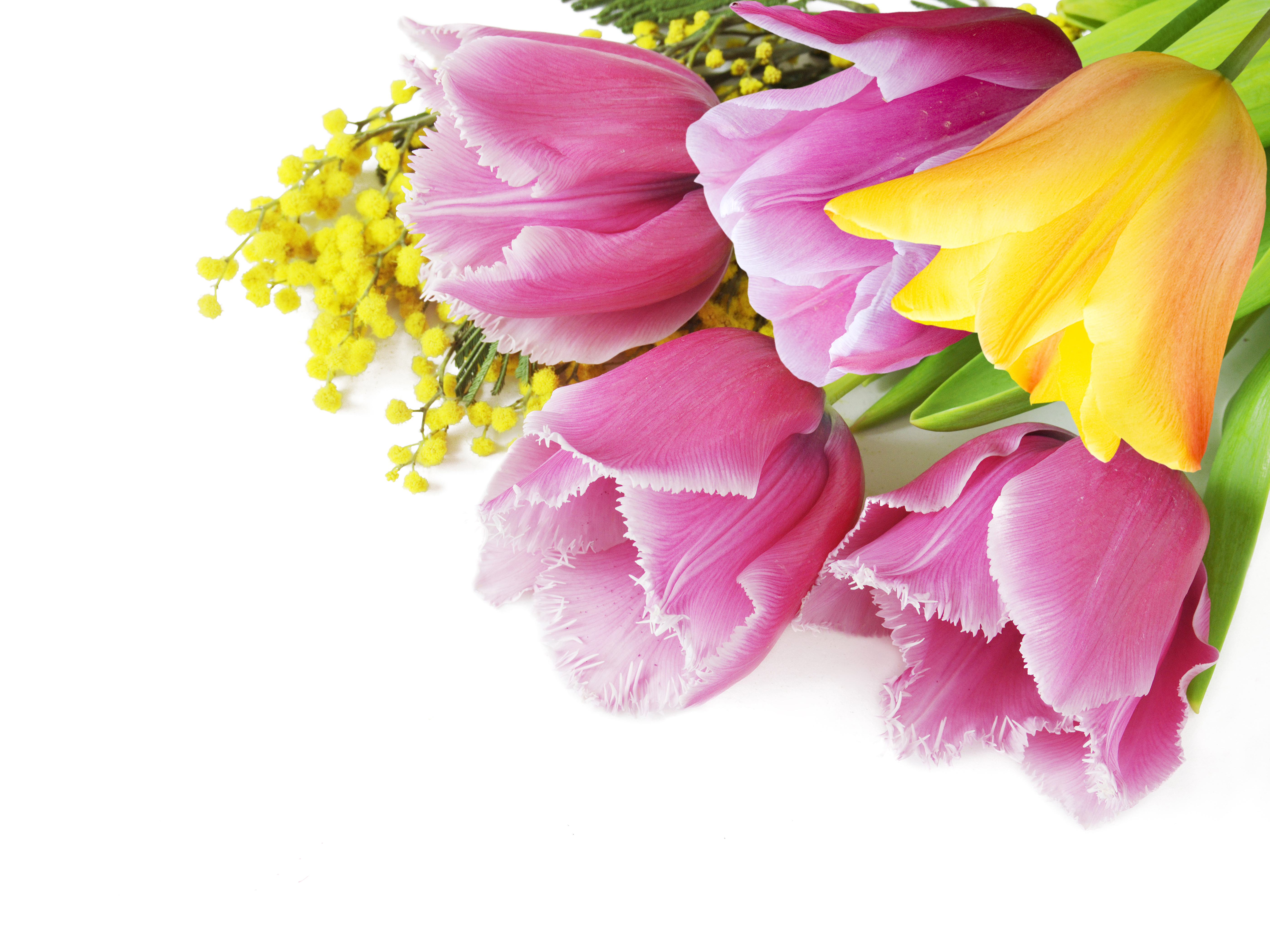 Букет весенних цветов открытка. Мимоза и тюльпаны. Весенний букет.