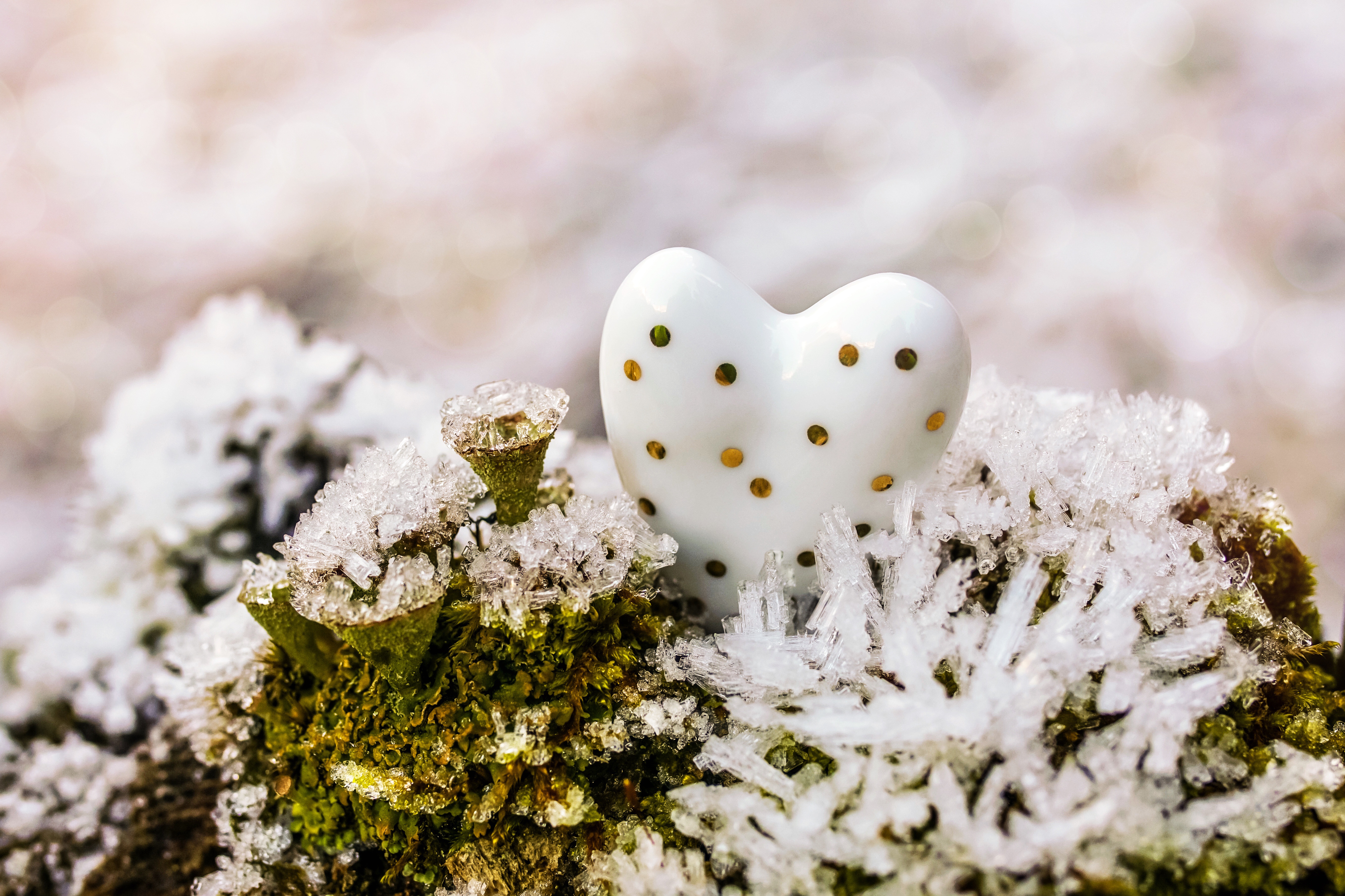 Zastaki.com - Фарфоровое сердце на мху в снегу