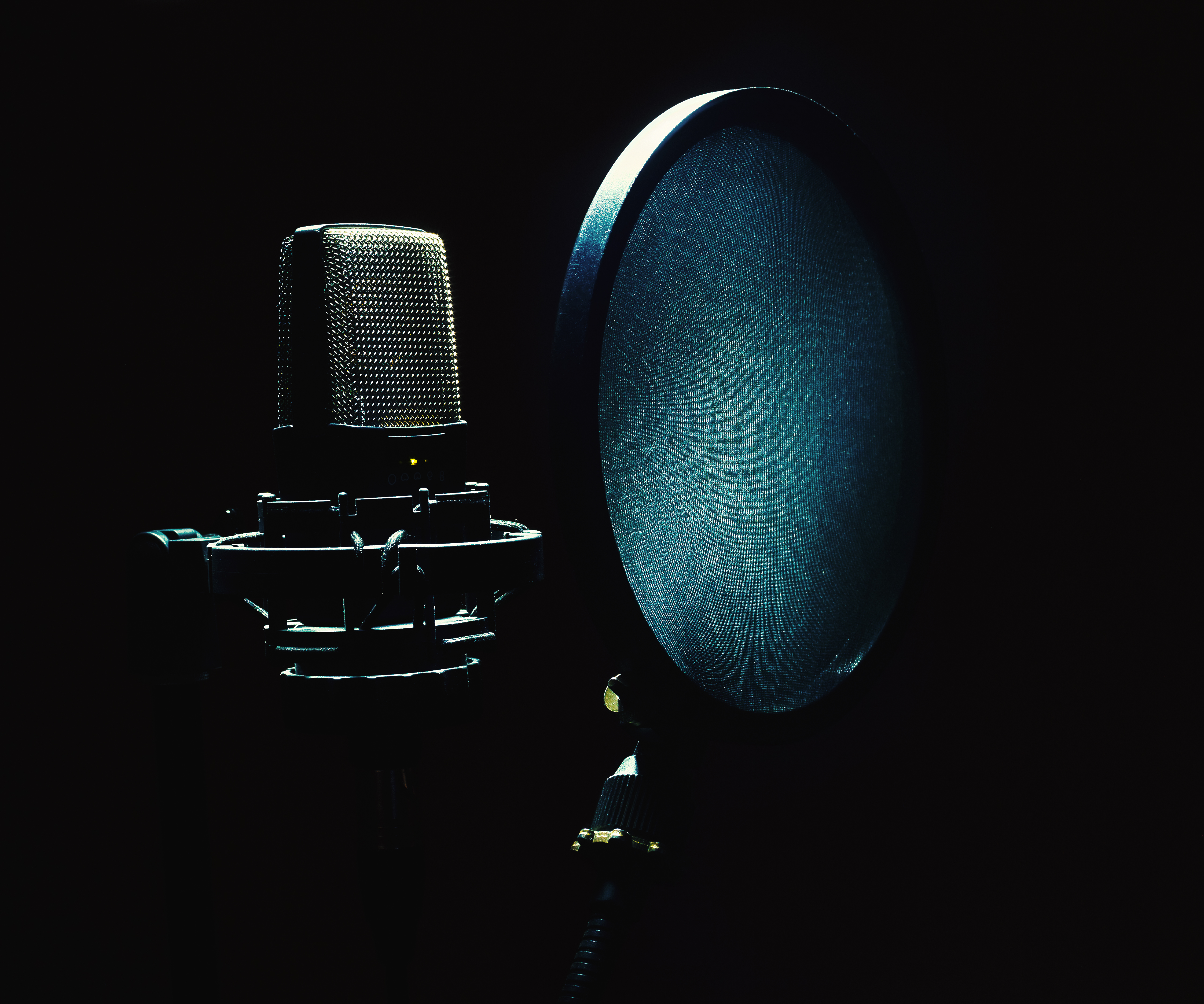 Zastaki.com - Студийный микрофон с фильтром в темноте
