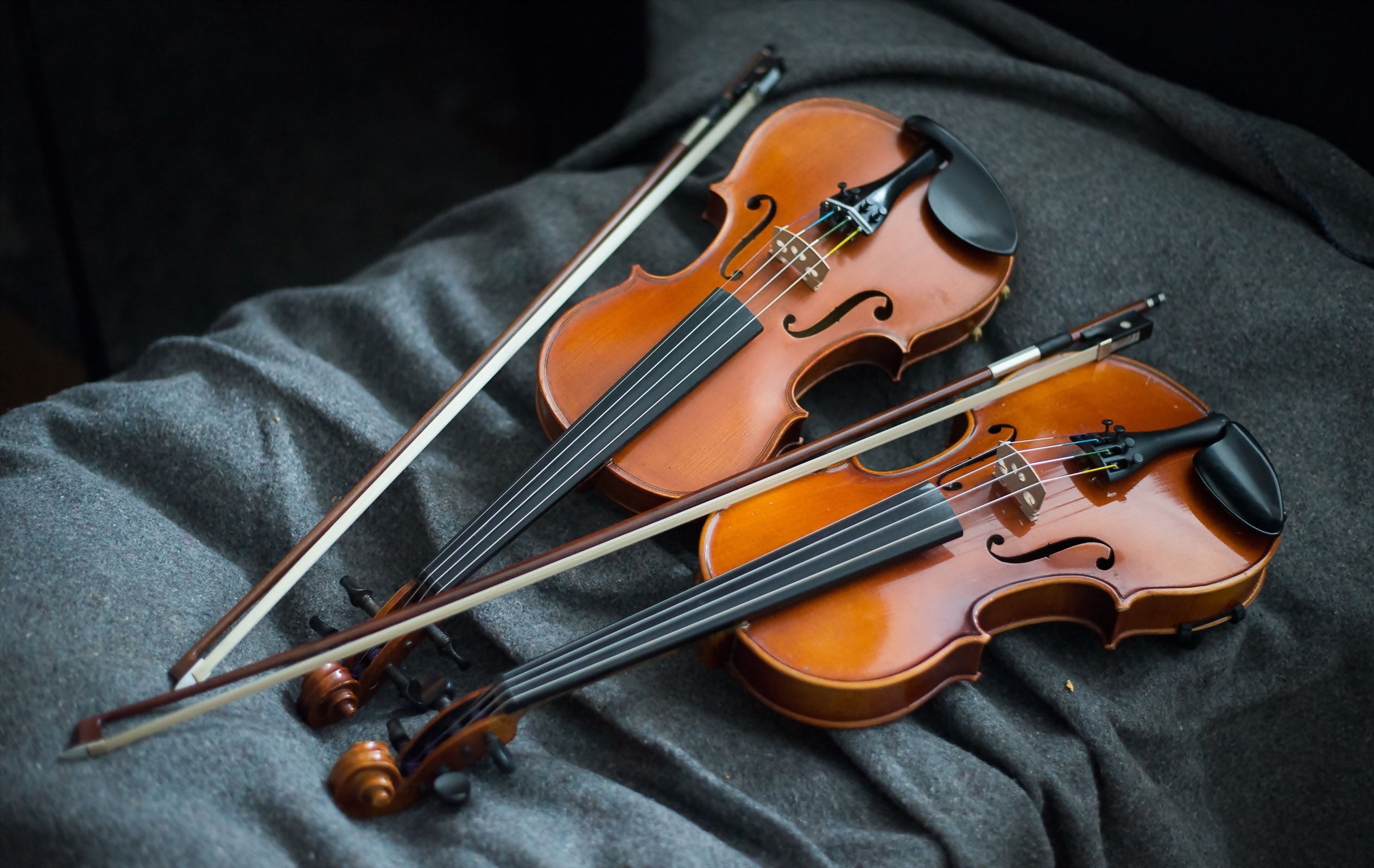 Zastaki.com - Две деревянные скрипки на ткани 