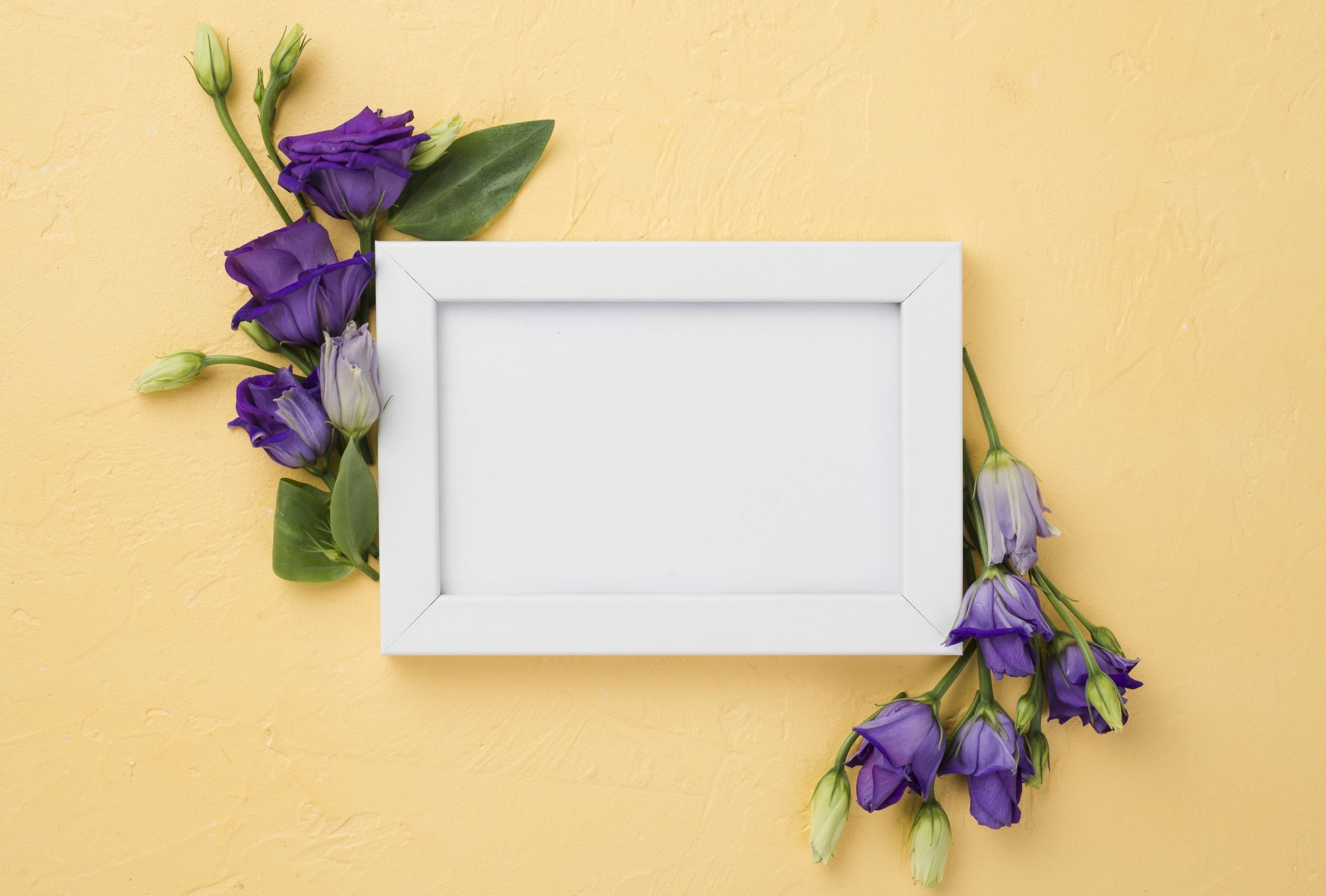 Zastaki.com - Белая рамка с фиолетовыми цветами эустома