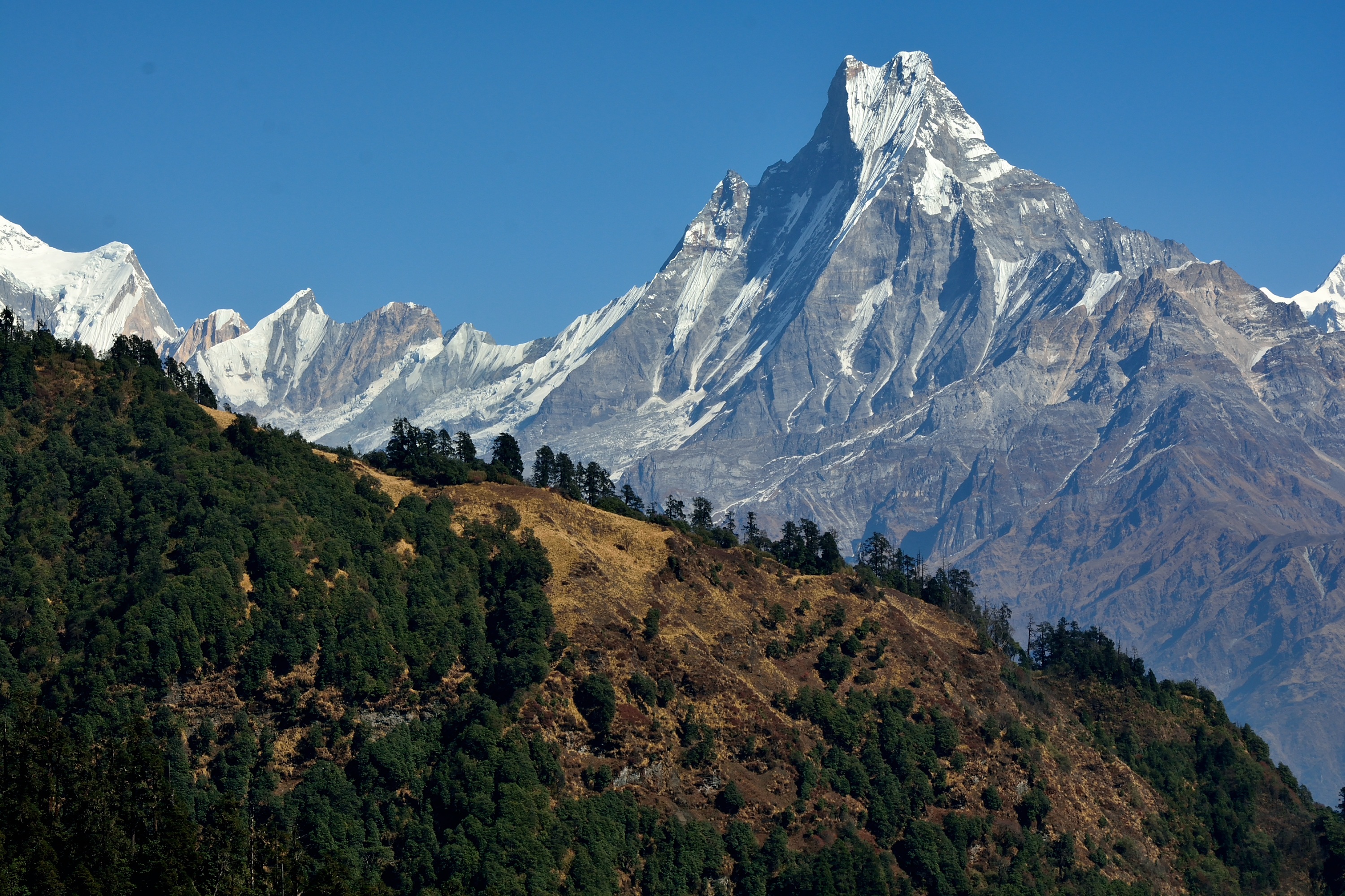 Склоны гималаев. Южные склоны Гималаев. Самые красивые горы России. Горные склоны Гималаев. Непал.