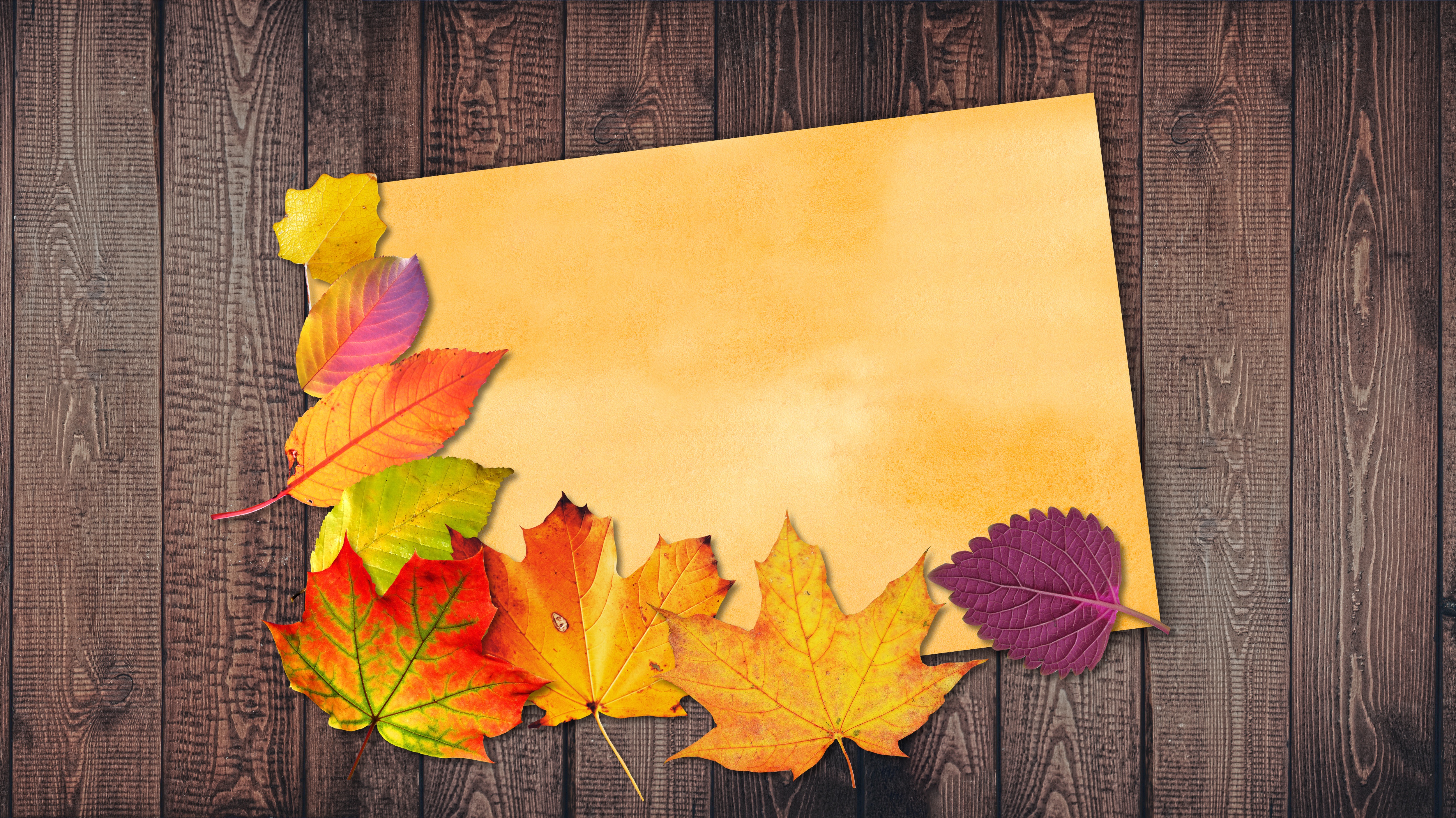 Zastaki.com - Лист бумаги с осенними листьями на деревянном фоне