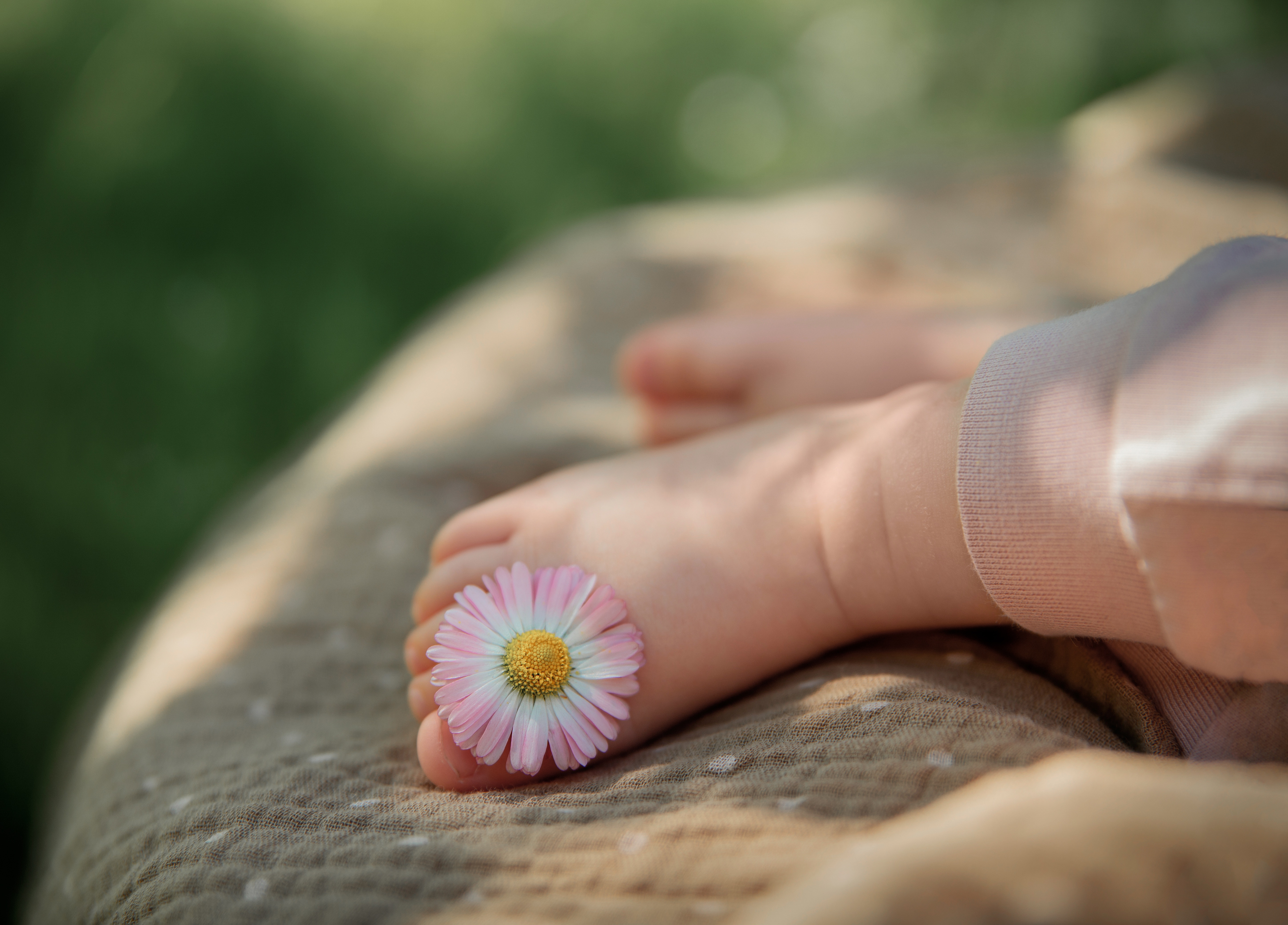 Zastaki.com - Нога ребенка с цветком маргаритки