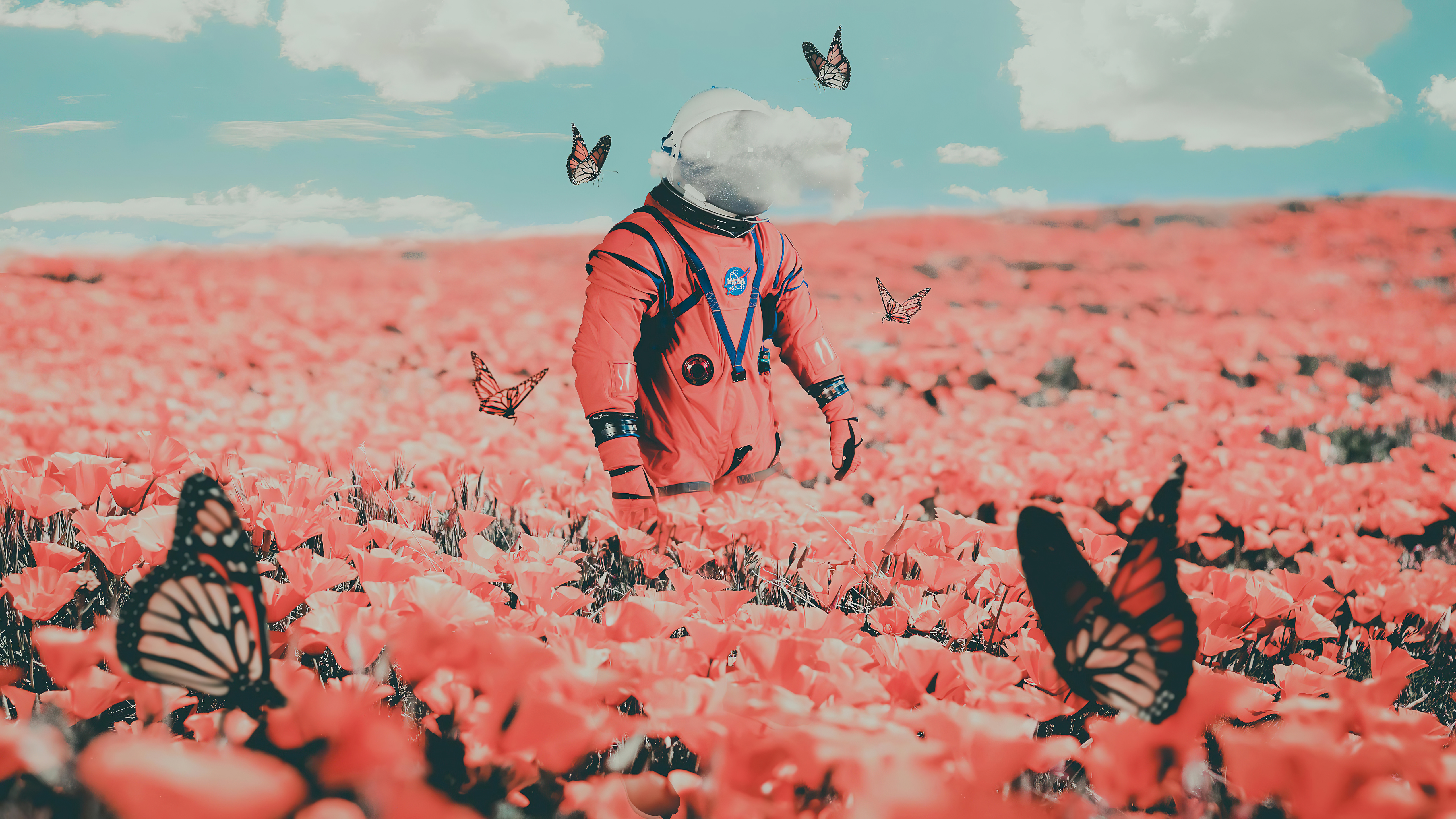 Zastaki.com - Космонавт идет по полю с бабочками и красными маками