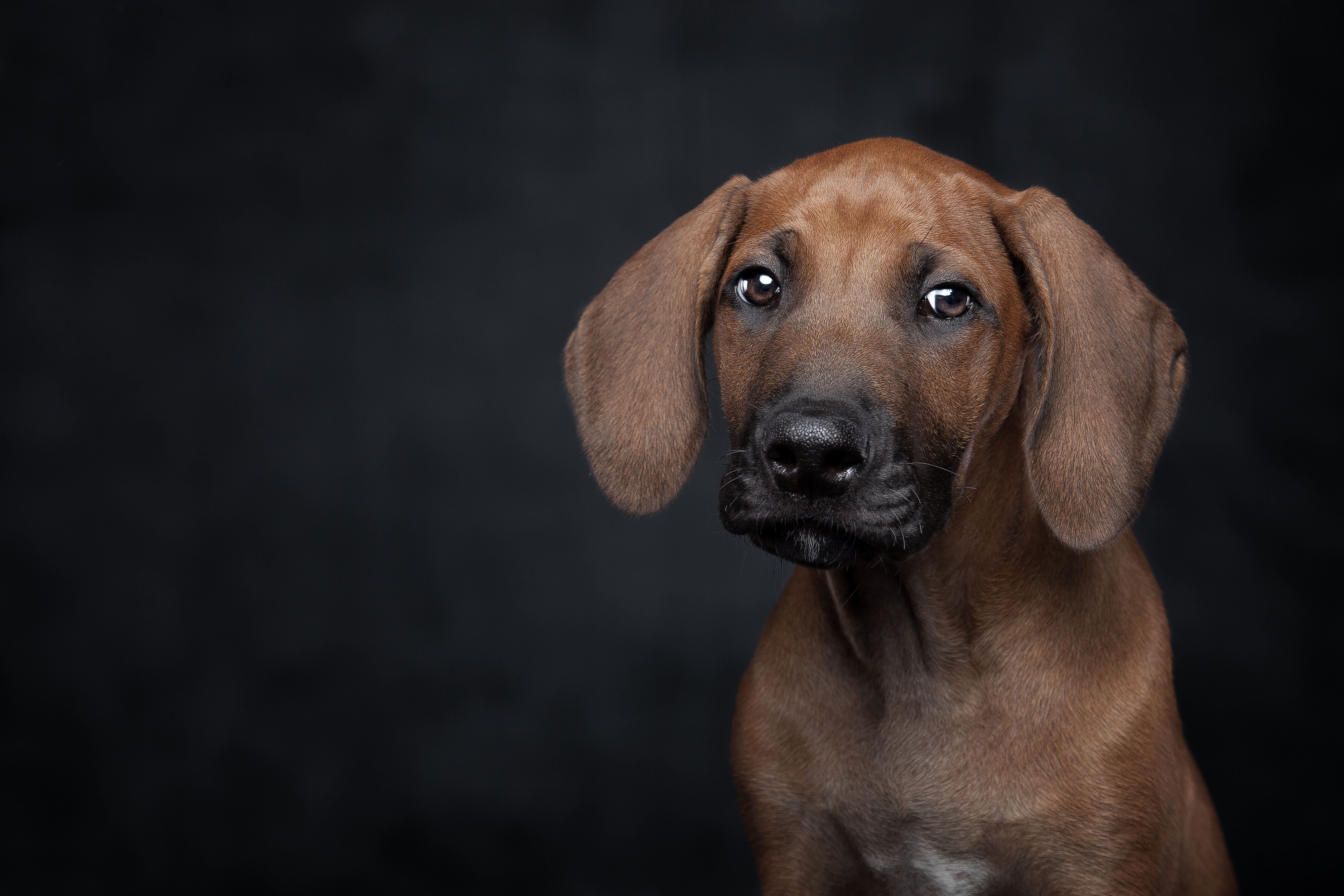 Бесплатный Сток Фотографий Pixabay
