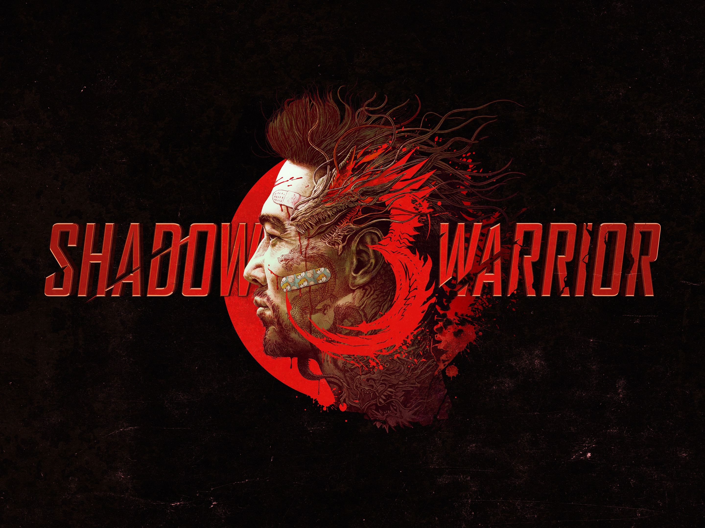 Zastaki.com - Постер компьютерной игры Shadow Warrior 3