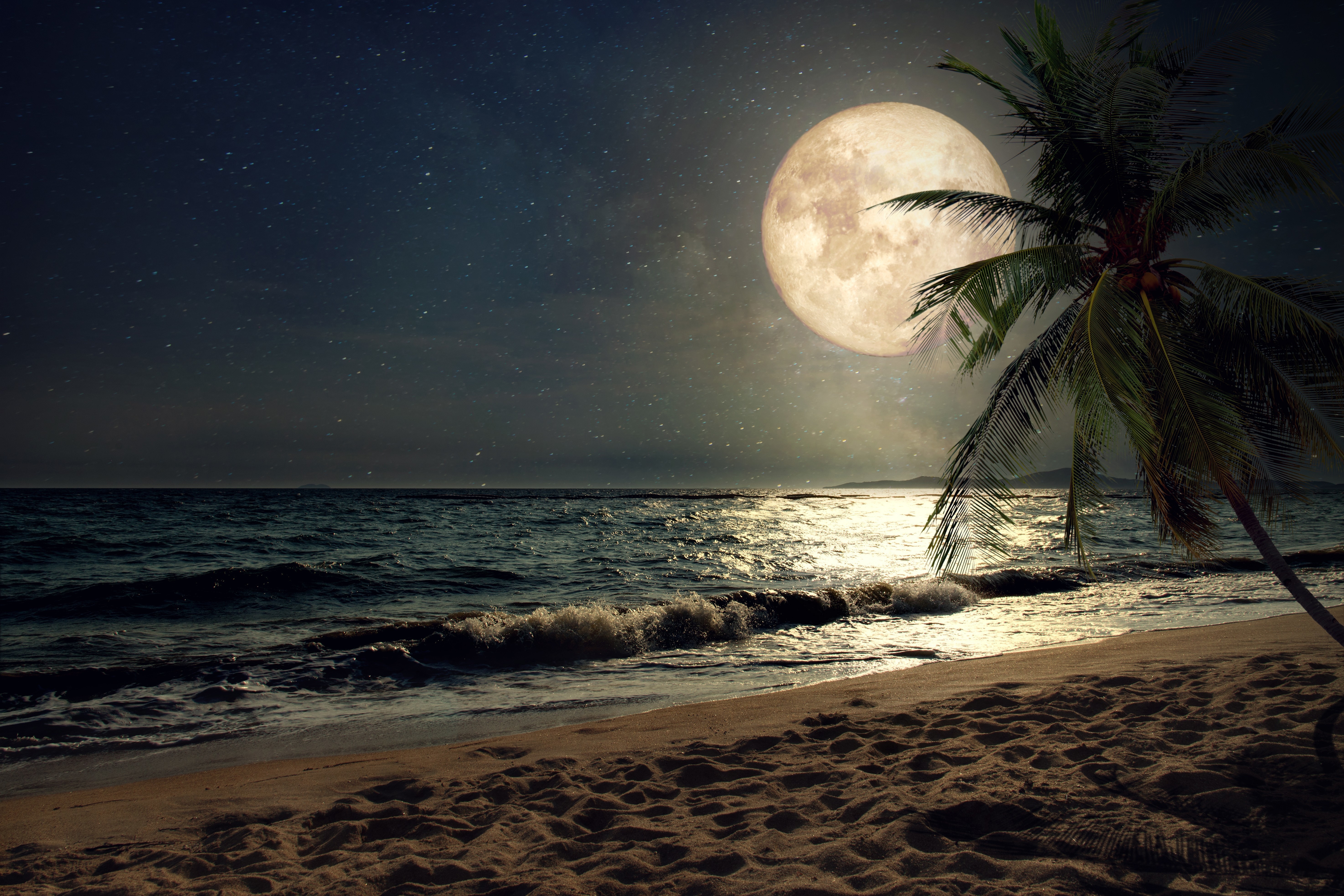 Zastaki.com - Большая желтая луна над тропическим пляжем