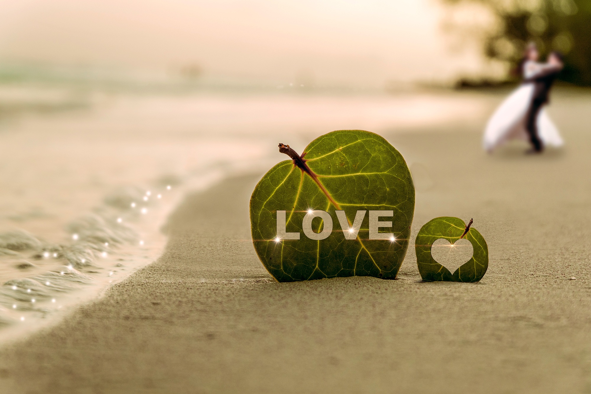 Zastaki.com - Зеленый лист в надписью любовь на песке у моря