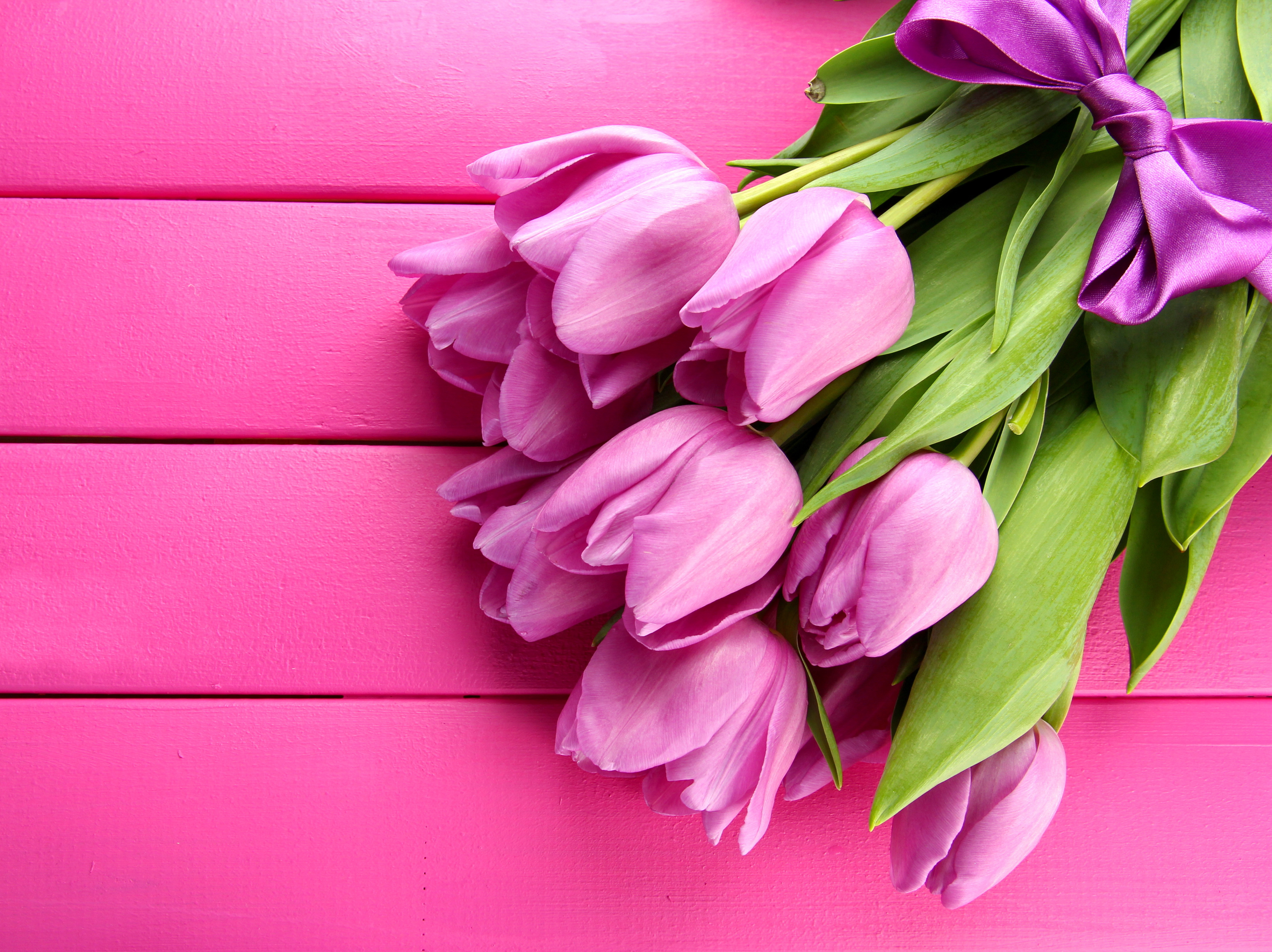 Тюльпаны открытки красивые с пожеланиями. Цветы тюльпаны. Розовые тюльпаны. Тюльпаны на розовом фоне.