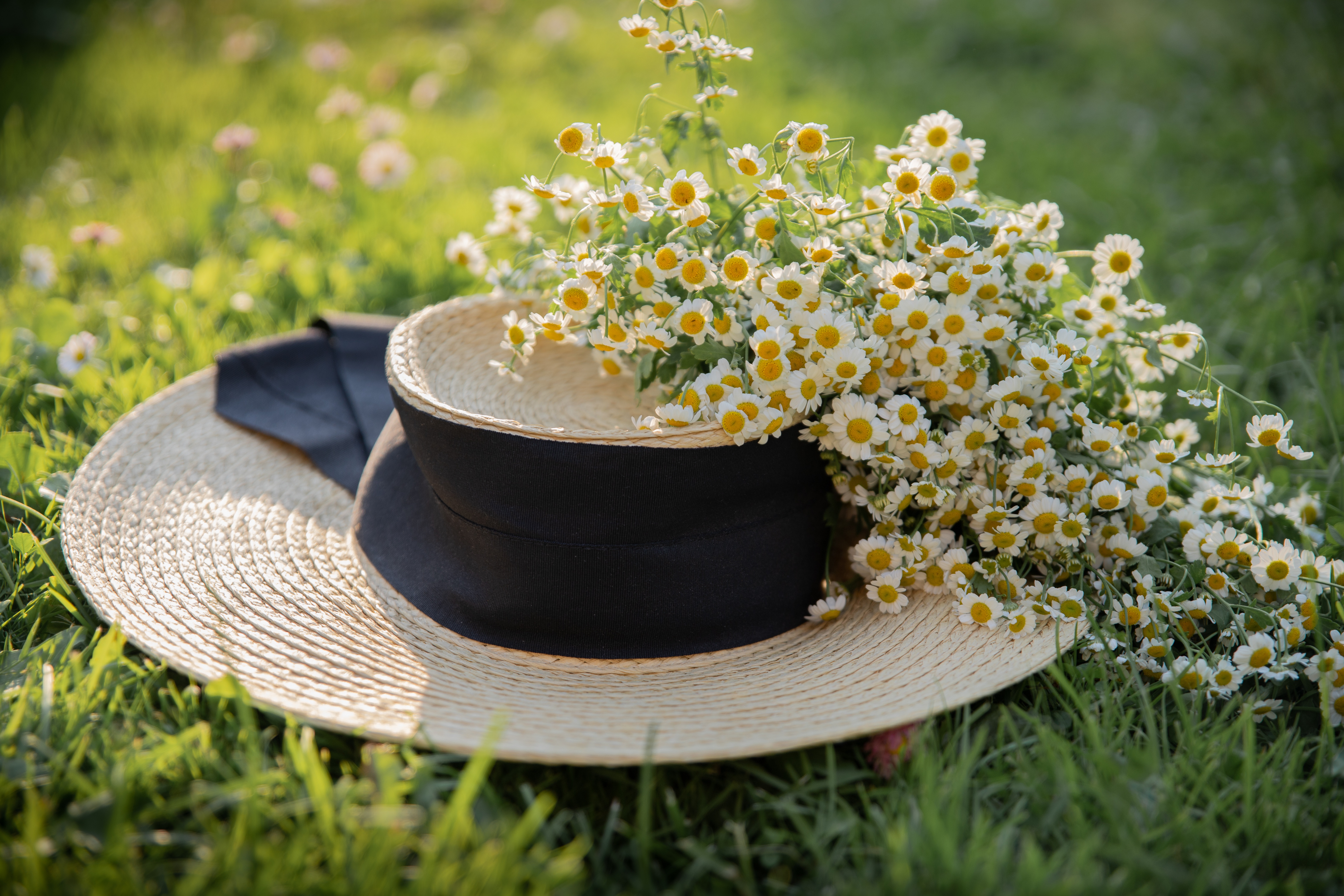 Шляпа растение. Шляпка цветок. Летние шляпки с цветами. Шляпа с цветами. Шляпка на траве.