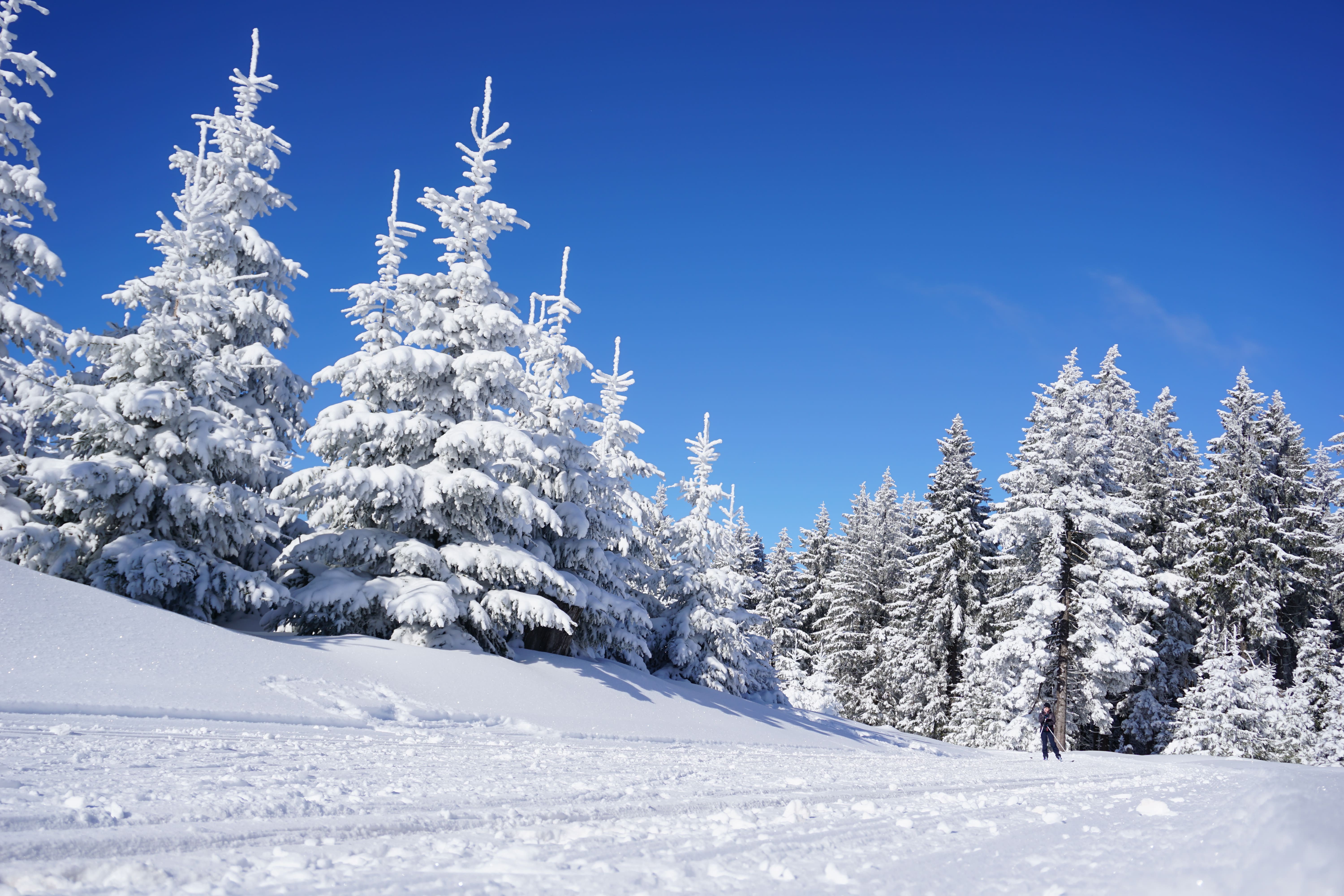 Бесплатный Сток Фотографий Pixabay